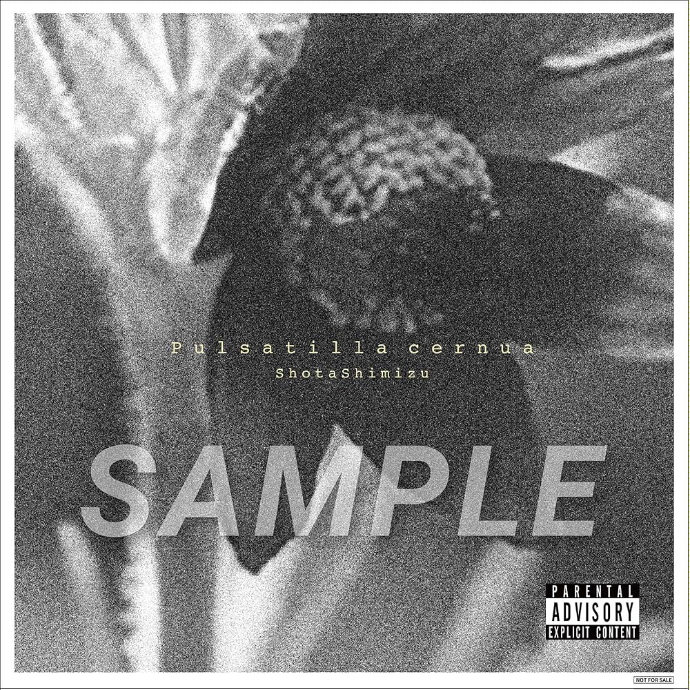 清水翔太/Pulsatilla cernua/【完全生産限定ファンクラブ限定盤】 2025.06.18 清水翔太 11th Album 『Pulsatilla cernua