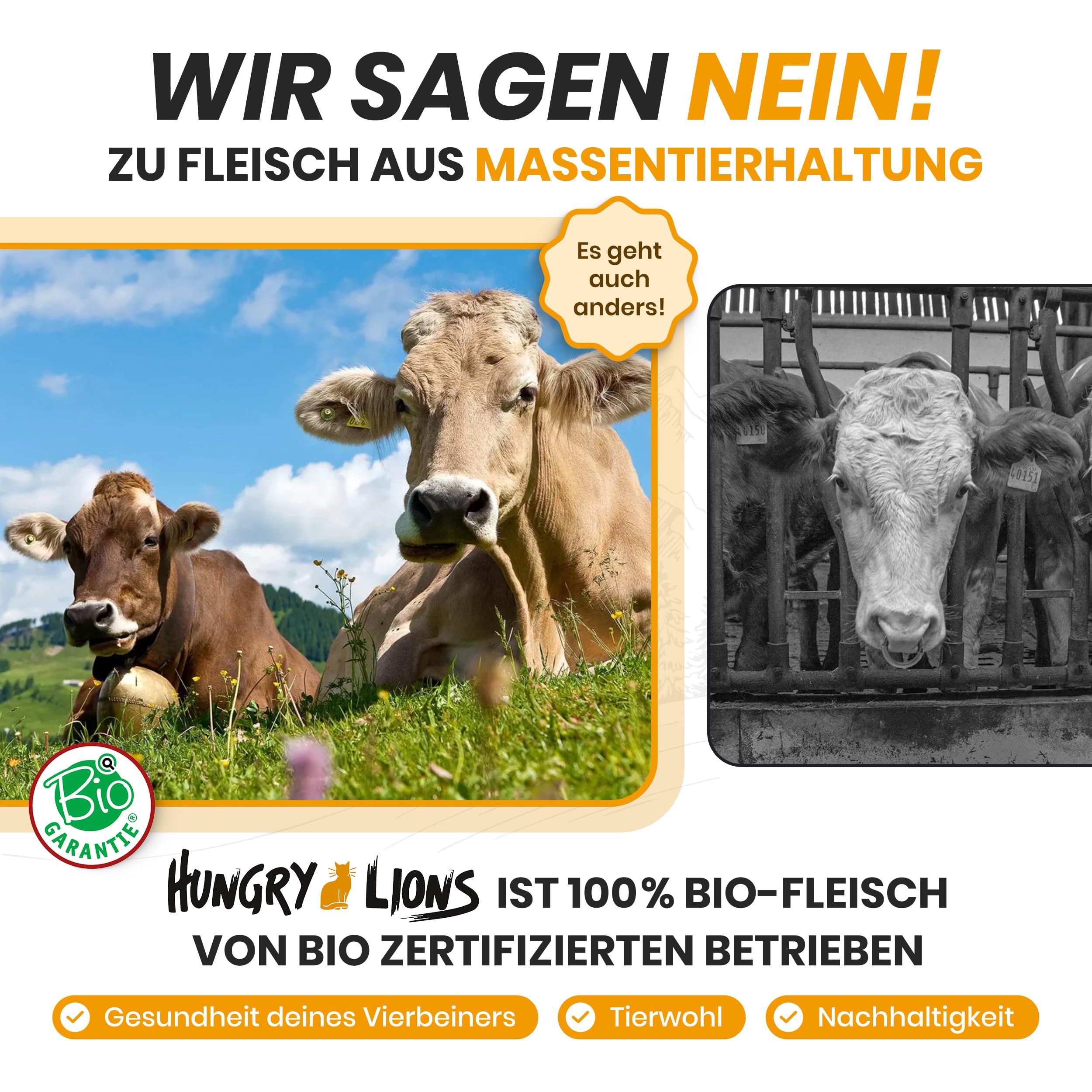 Bio Katzenfutter nass – Katzenfutter nass ohne Zucker und Getreide – Katzenfutter mit hohem Fleischanteil von 94% – Natürliches Katzenfutter - Hergestellt in Österreich (50x100g)
