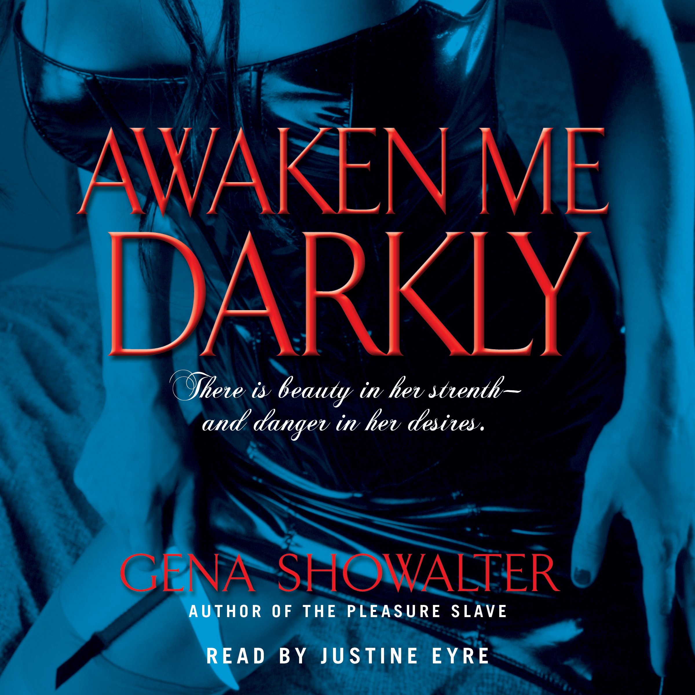 Cover art for Awaken Me Darkly