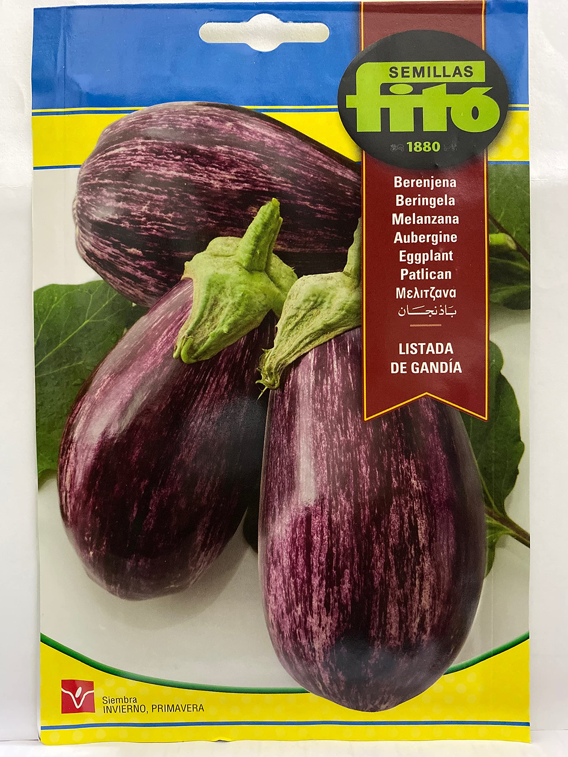 Semillas Fito EGGPLANT SEEDS (Net weight 5 grams.) – بذور باذنجان