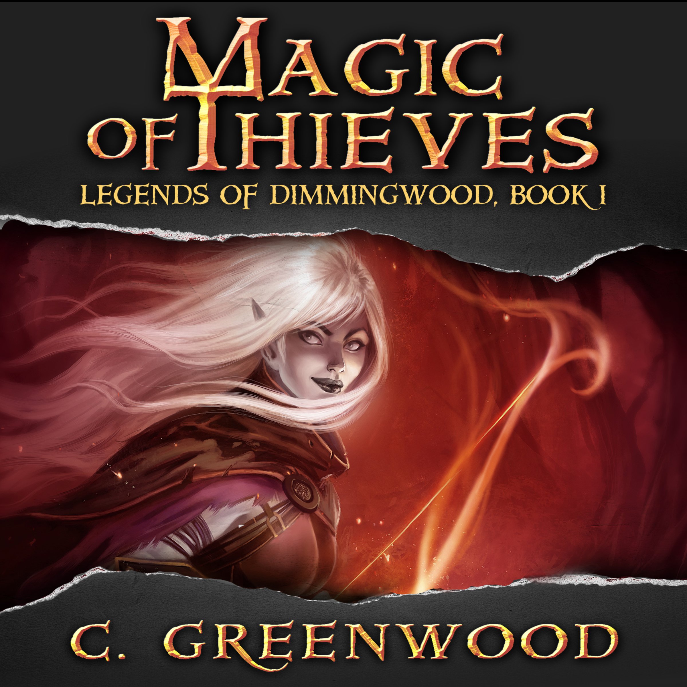 Cover art for Magic of Thieves