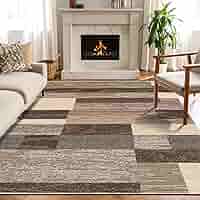 Amazon.com: SUPERIOR Indoor Area Rug, Jute Backed, Modern