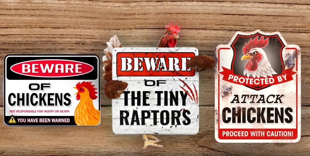 Lustiges Hühnerschild Aus Metall – „Beware Of The Tiny Raptors“, 20,3x30,5 Cm, Wetterfest