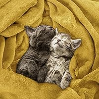 Vista 181 de Utopia Bedding - Manta de vellón de lujo, mullida, antiestática; manta de suave microfibra de 8.8 oz/yd² (300 g/m²) para cama; tamaño individual