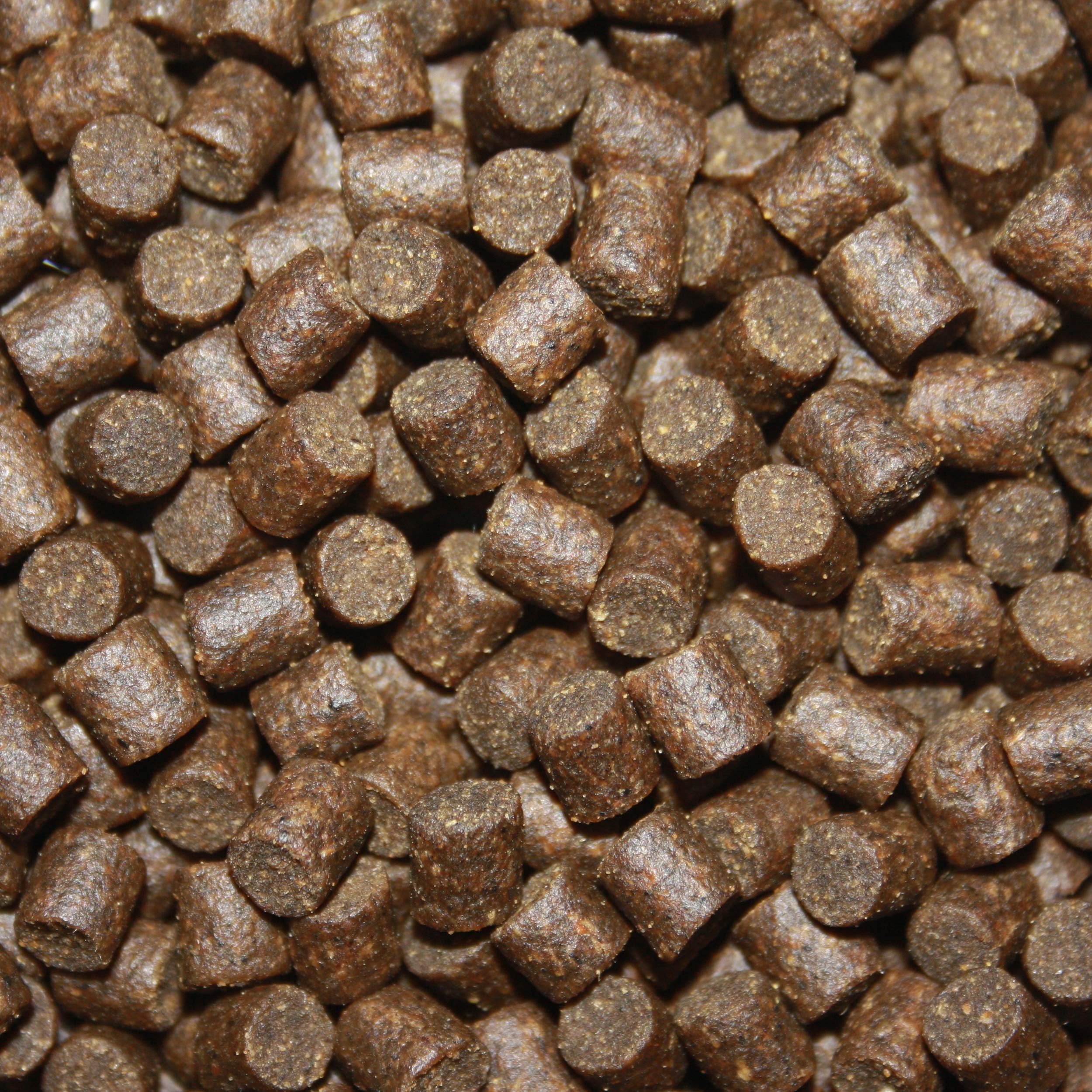Tomodachi Störfutter groß, Energiefutter Stör perfekt für die ganzjährige Störfütterung, Störsinkfutter hochverdaulich, arktische Rohstoffe, geringe Wasserbelastung, Premium Stör Kraftfutter 8mm 15kg