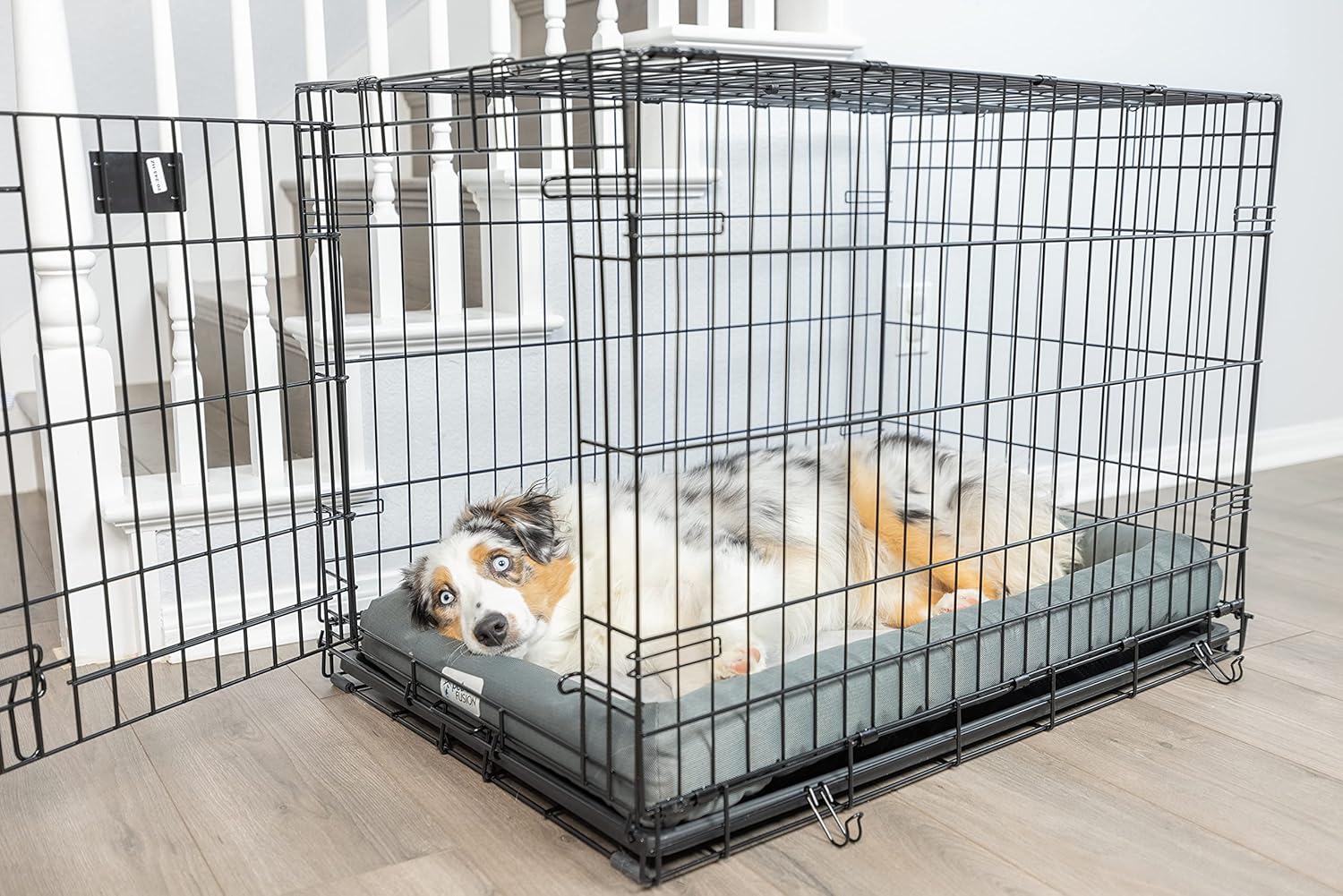 temperature controlled dog kennel