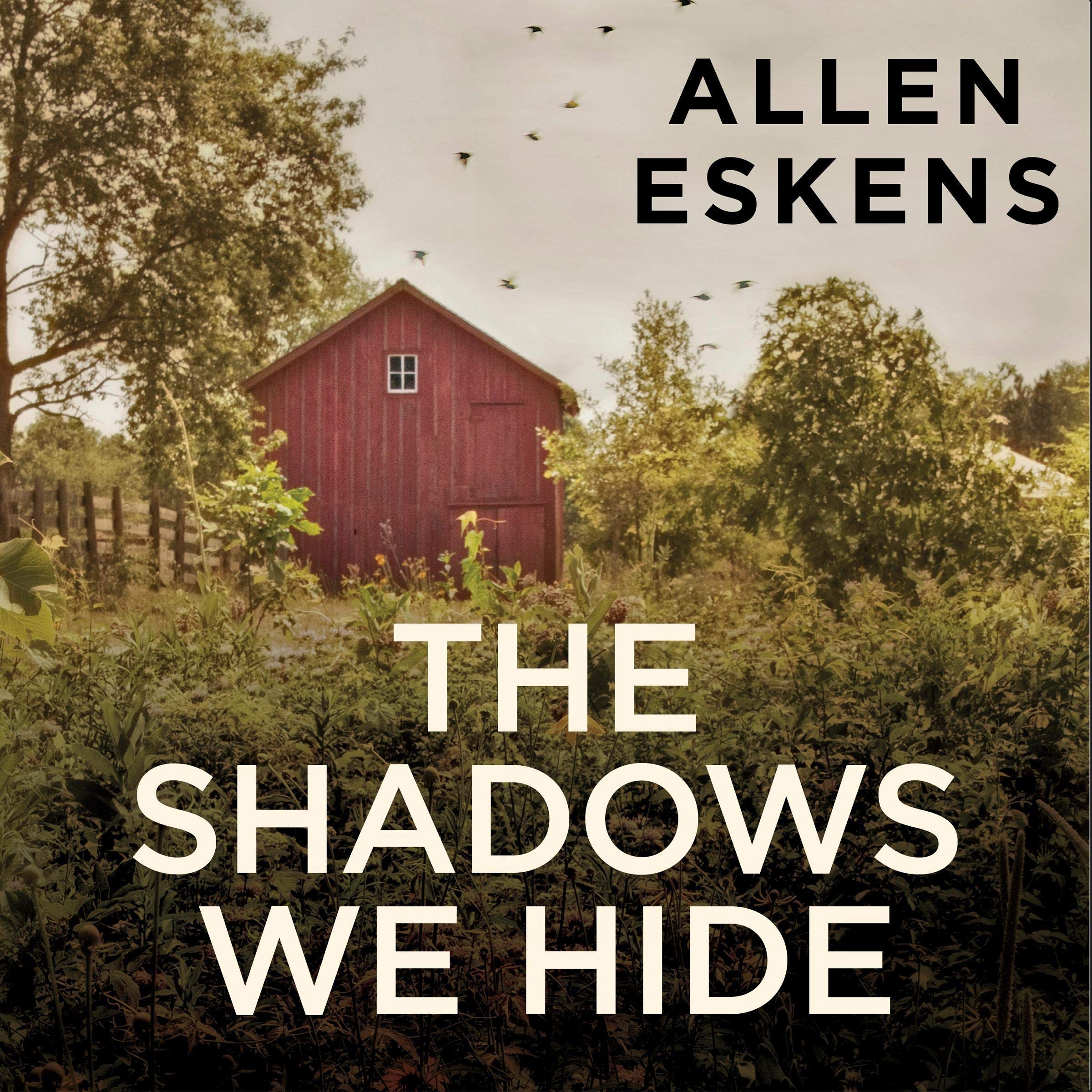 Cover art for The Shadows We Hide