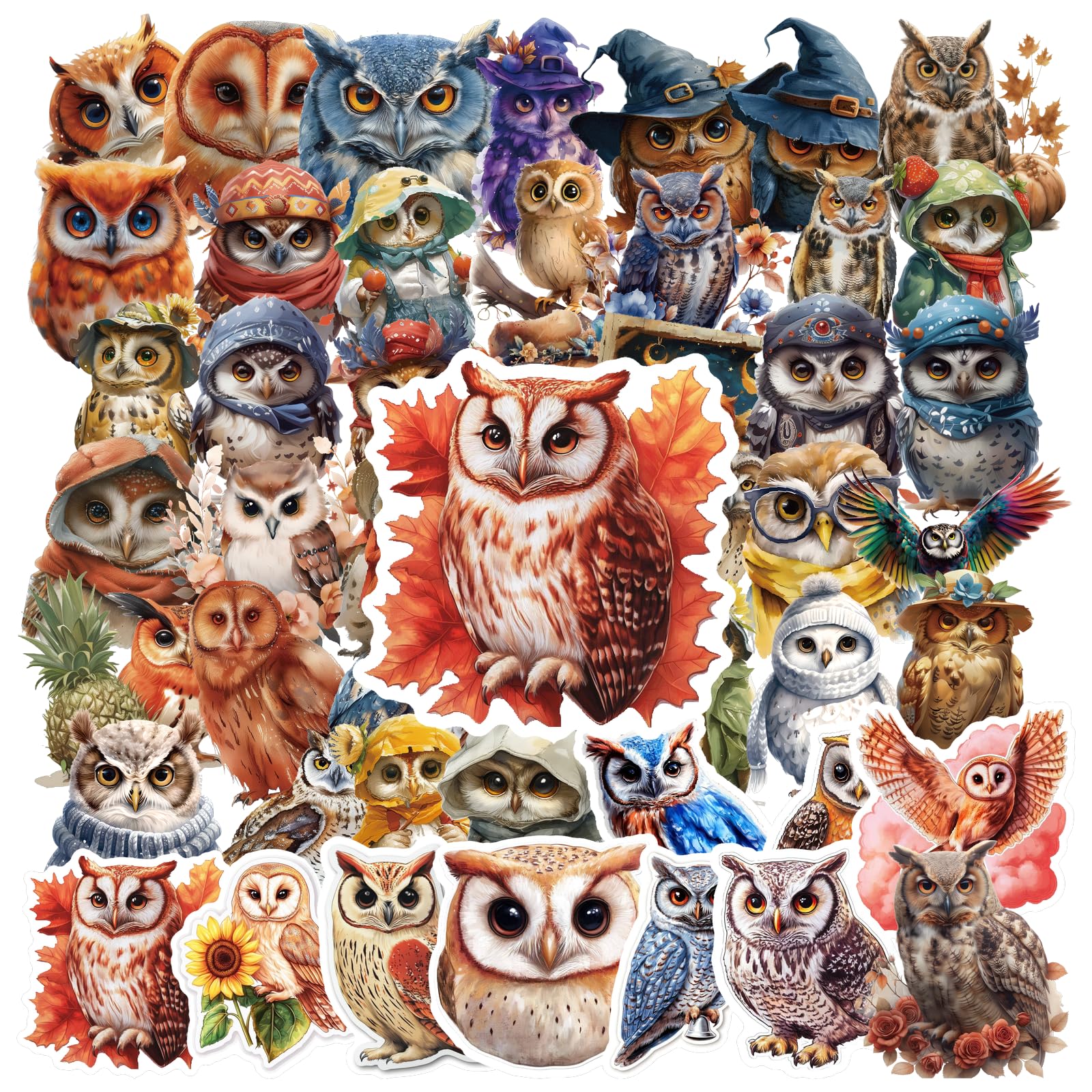 50pcs Assorted Cute Owl Stickers in Bulk Owl Animal Stickers Waterproof Vinyl Sticker Clever Owls Decals for Laptop Phone Computer Water Bottles