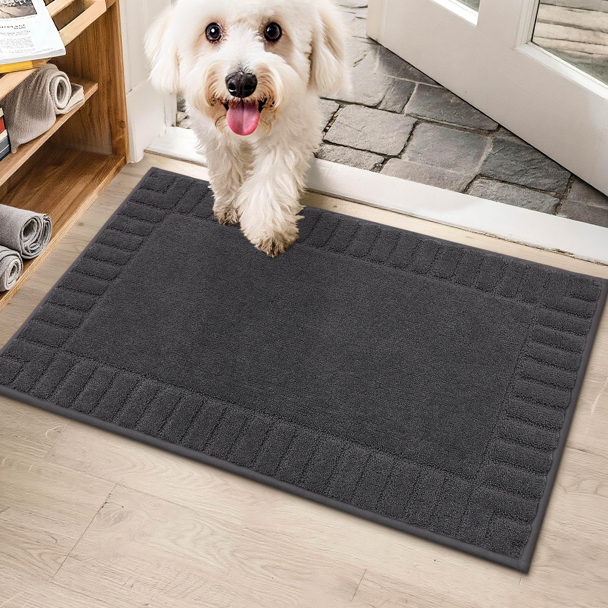 BEQHAUSE Door-Mat-Non-Slip Front Door Mat Washable Low-Profile Entrance Rugs for Front Door Entry Dirt Trapper Door Mats Absorbent Welcome Mats,20"x32