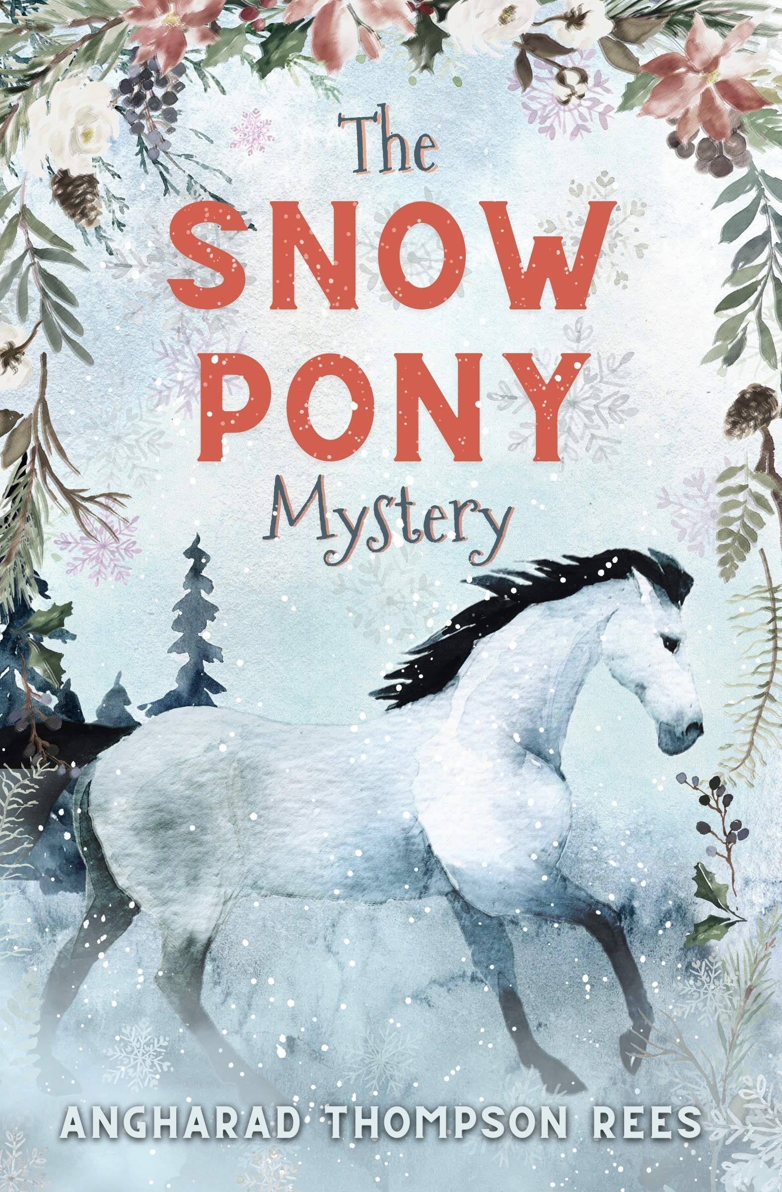The Snow Pony Mystery