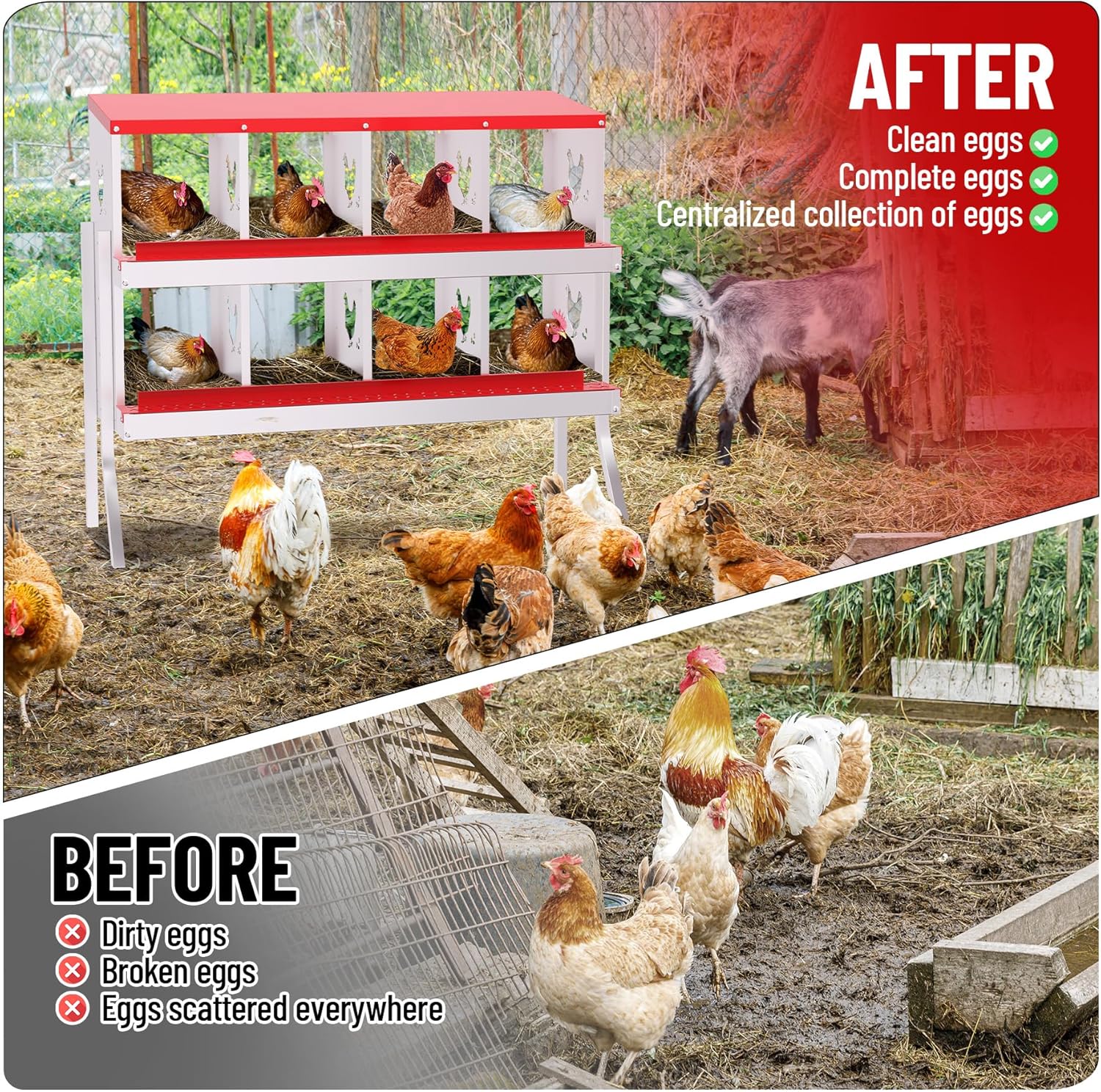 6/8/10 Holes Chicken Nesting Box Coop Chicken Egg Laying Boxes Egg Collection - Picture 6 of 85