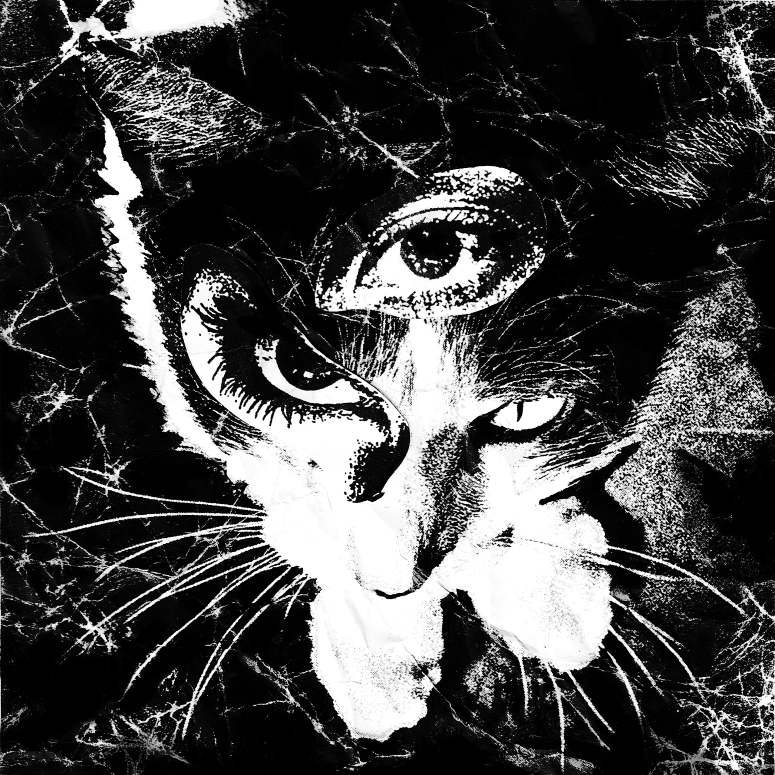 Amazon.co.jp: Remains: ミュージック