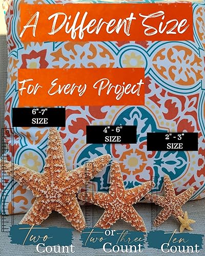 Miniatura 6 de Juego de estrellas de mar para decoración de estrellas de mar estrella de mar grande de 6 a 7 pulgadas paquete de 2 empaquetado con amor océano