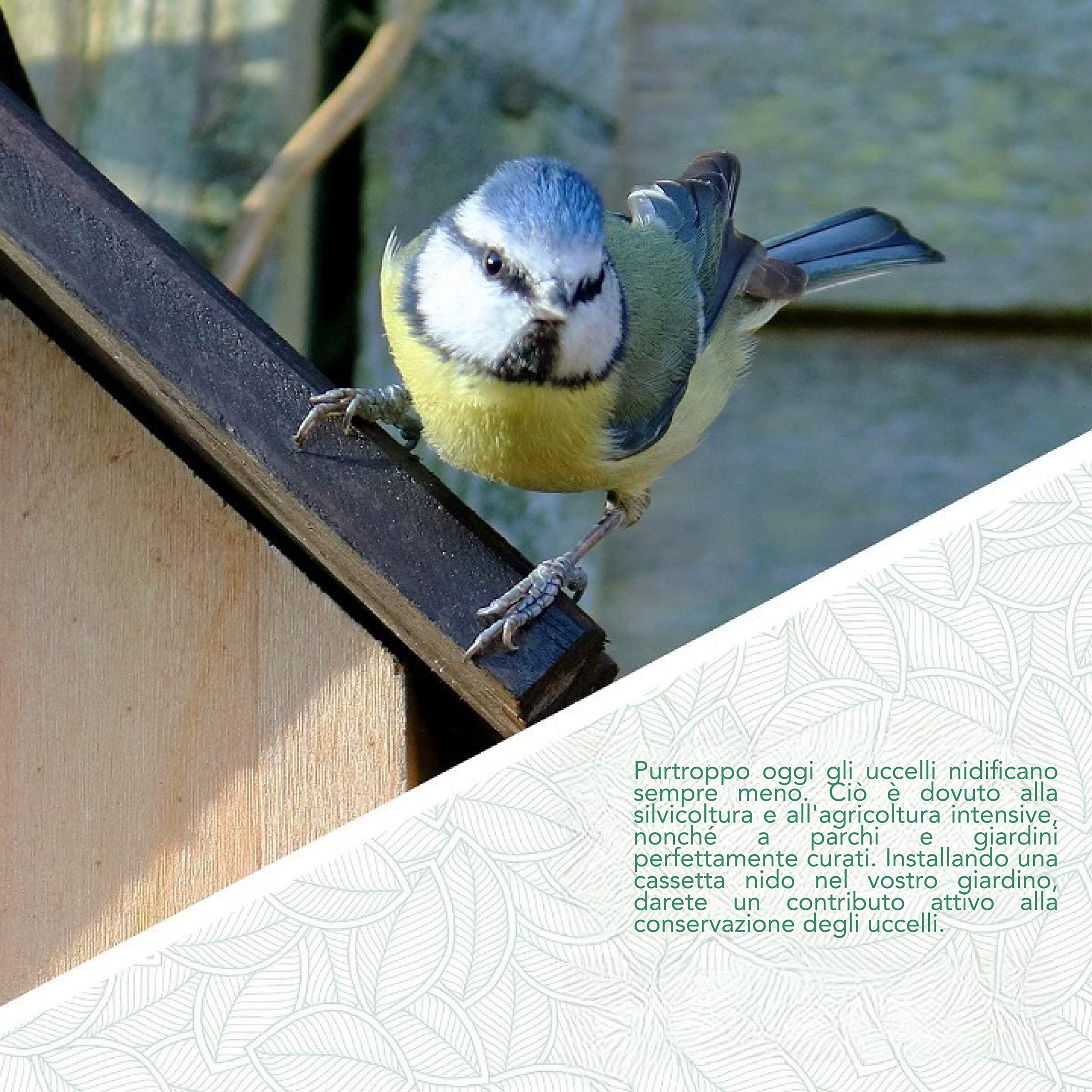 WILDLIFE FRIEND I Casetta per Uccellini da Esterno - Da Appendere in Giardino come Nido per Passeri, Cinciallegre e Altri Piccoli Uccelli - Resistente alle Intemperie - In Legno Massello - 33x15x22 cm