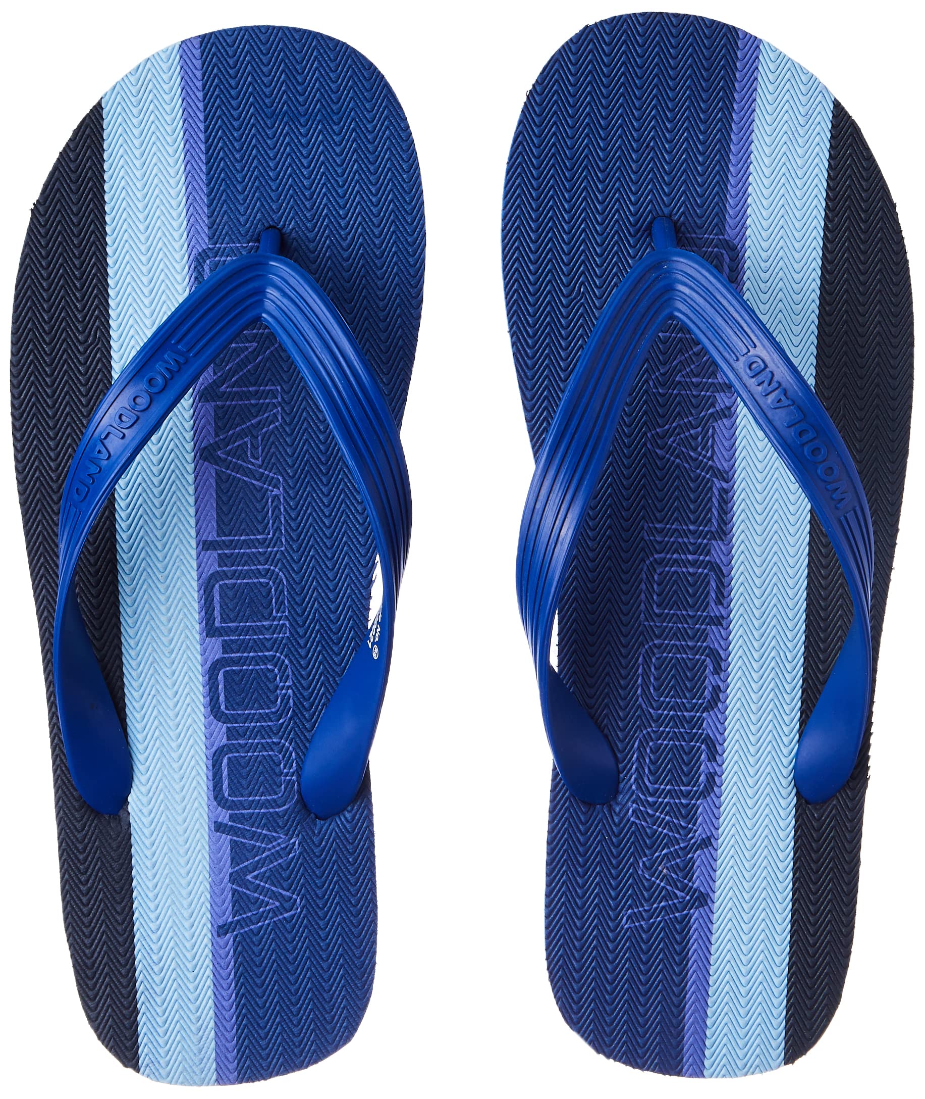 Woodland Mens Blue FlipFlop-6 UK 40 EU (FF 4109021) (B0BM7Z44HJ) Amazon Price History, Amazon Price Tracker