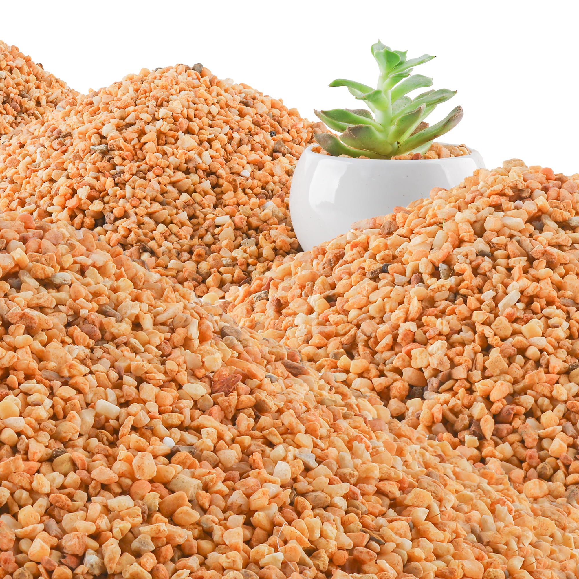 45lb Cactus Pea Gravel Rocks,1/5 Inch Pebbles for Indoor Plants, Natural Succulent Rock and River Rocks Decorative for Aquariums, Vases, Terrarium, Outdoor Gardening, Top Dressing for Potted Plants