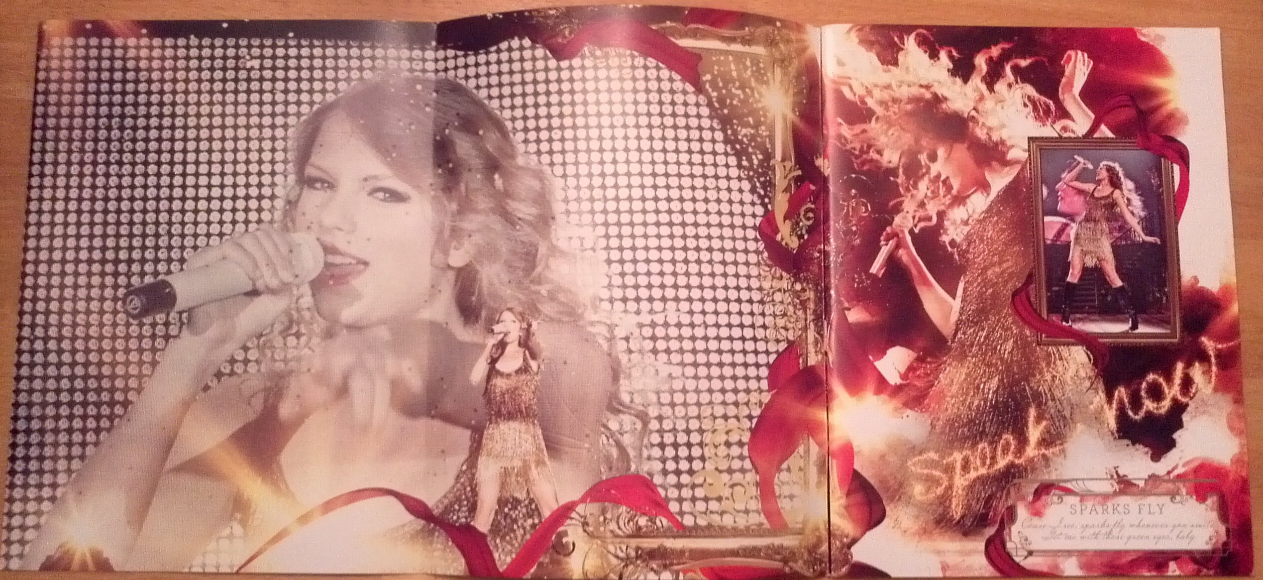 Amazon.com: Taylor Swift Speak Now Tour Program Decorative Magnet