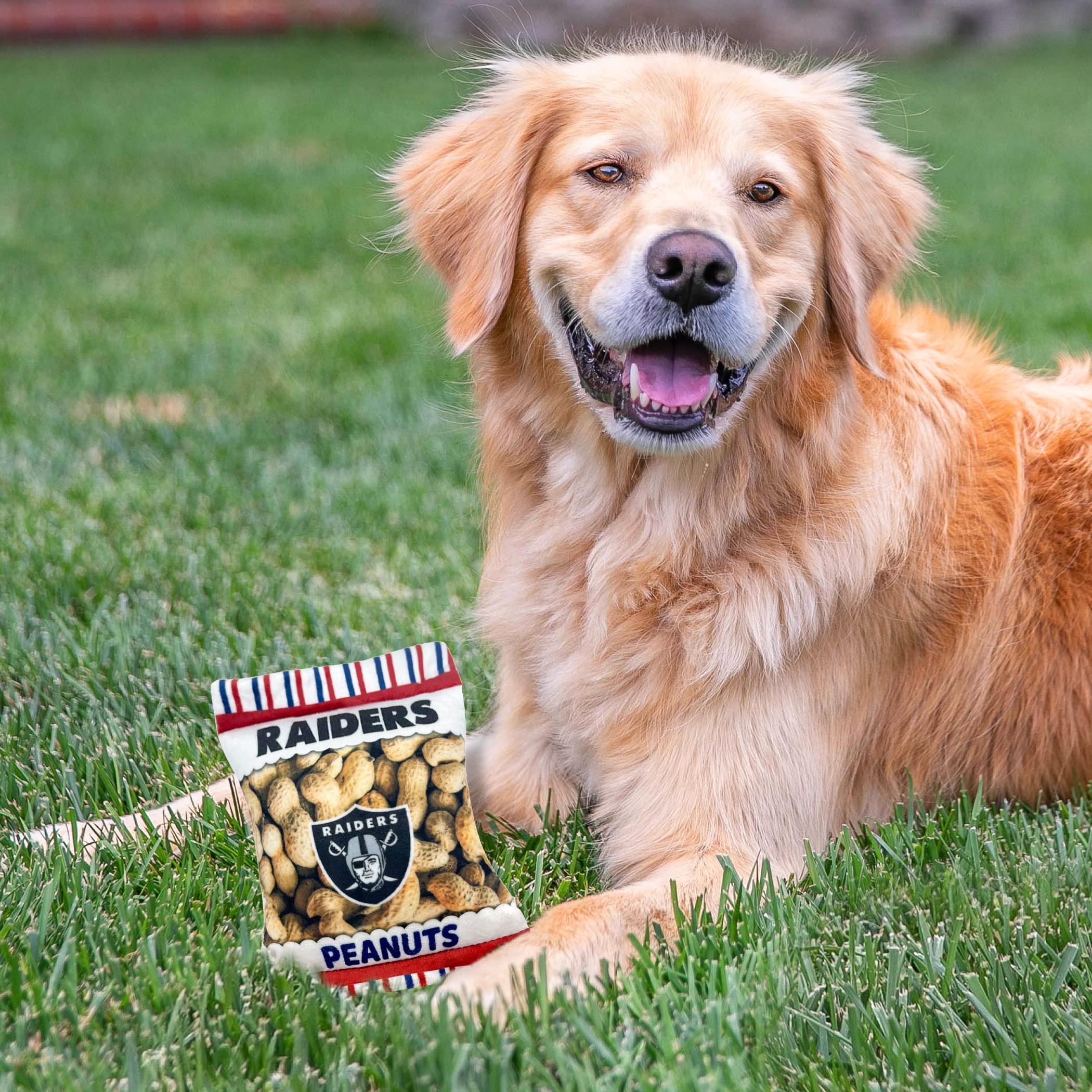 Amazon.co.jp: Pets First NFL LAS Vegas Raiders クリンクルファイン