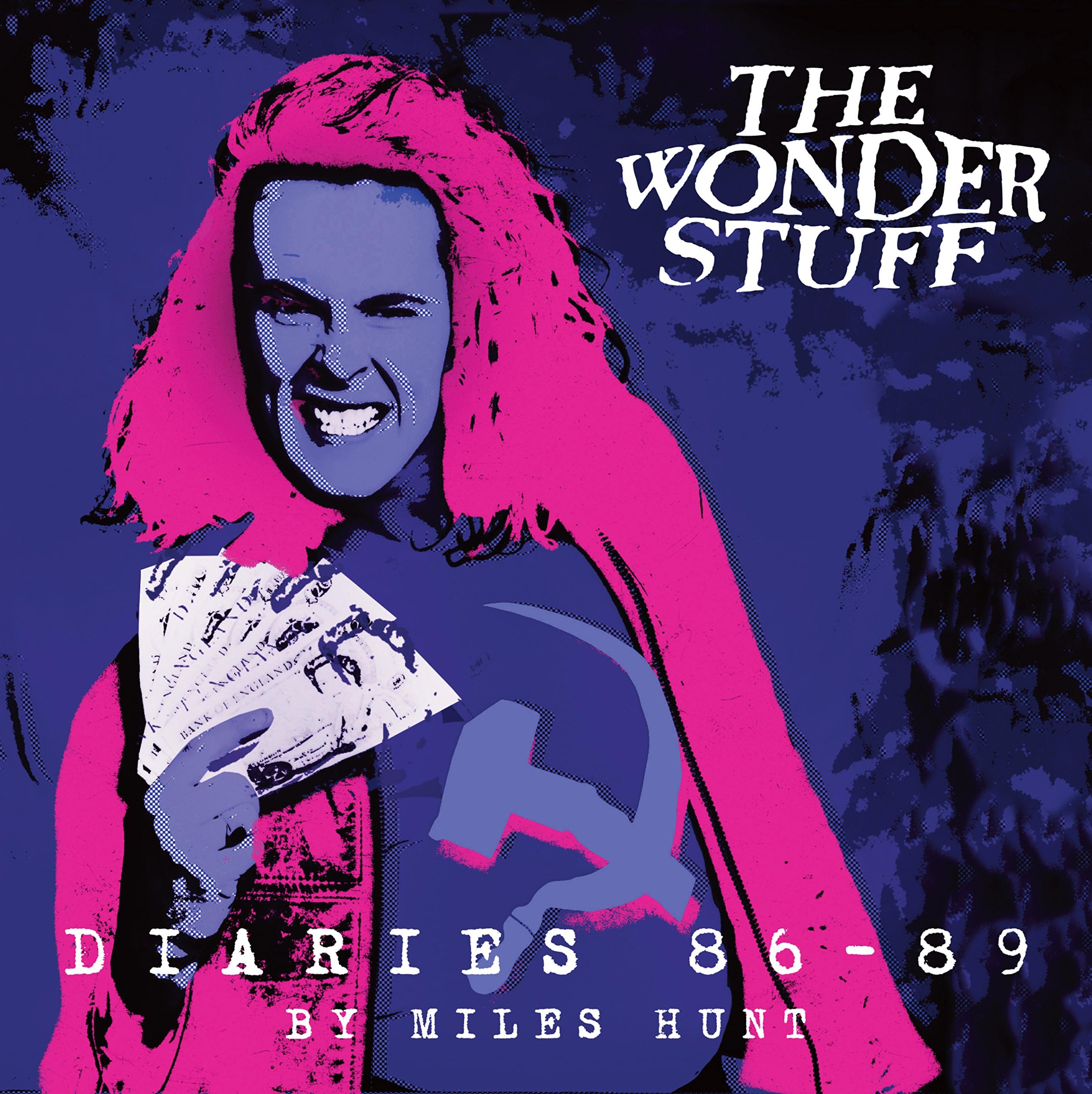 Miles Hunt: The Wonder Stuff Diaries 86 - 89 Paperback – 1 Feb. 2016