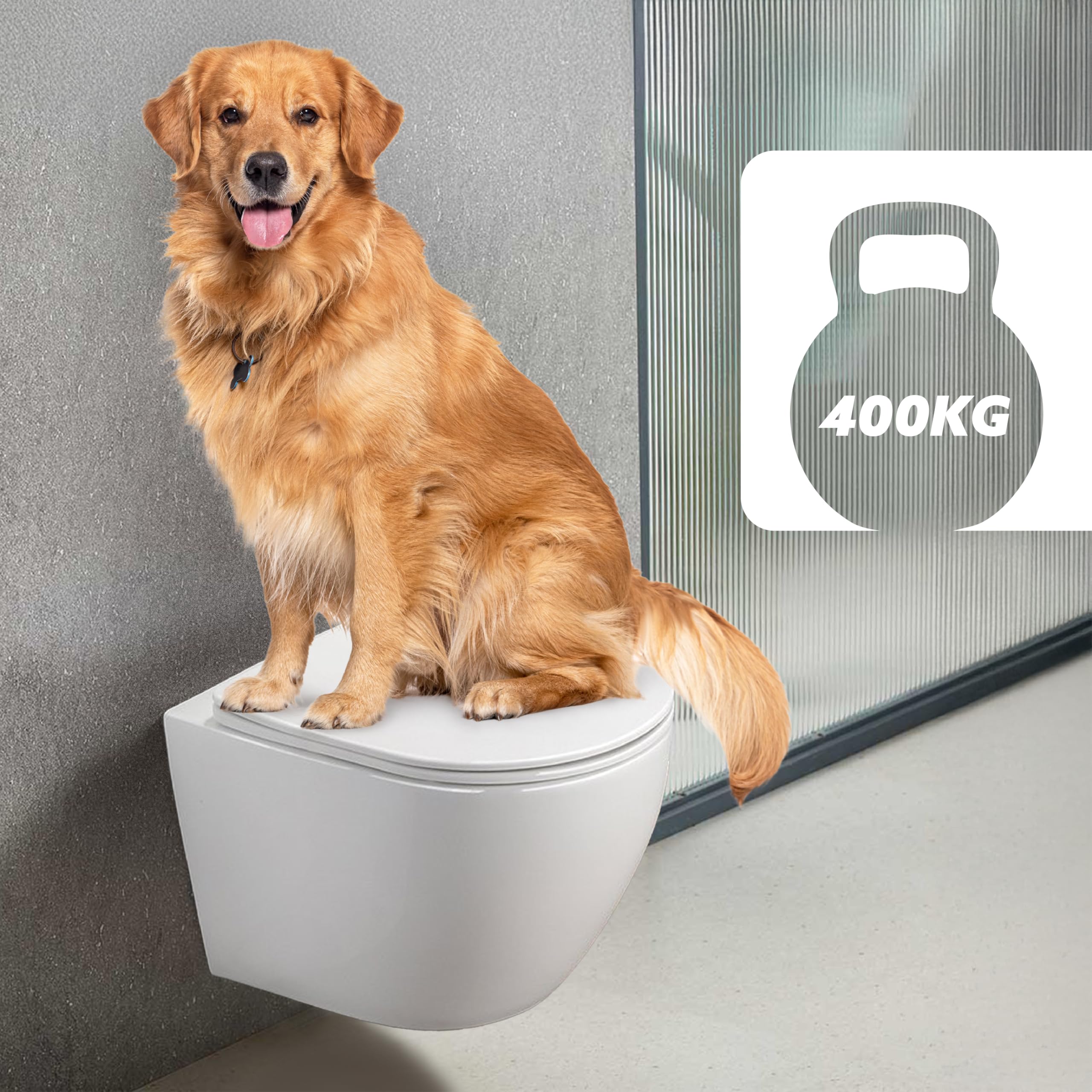 HOGART WC Sospeso con Base Nascosta e Fissaggi Invisibili, Potente Sistema di Scarico Tornado Silenzioso ed Economico 3-4,5 L, Tazza in Ceramica Facile da Pulire, Sedile Soft-Close, Salvaspazio