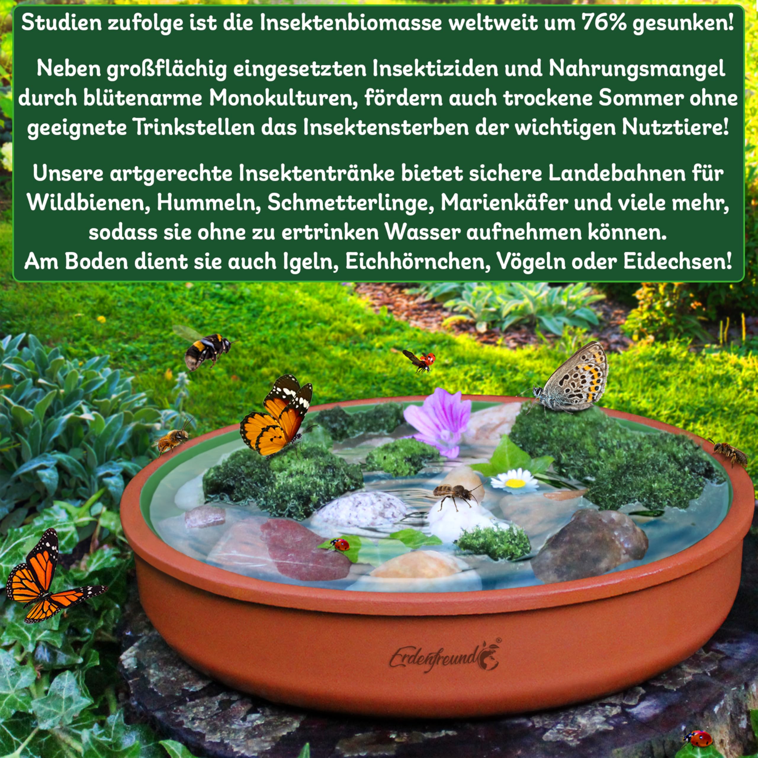 ERDENFREUND® Bienentränke Keramik + Dekosteine >1000°C feuerveredelte Insektentränke Keramik mit Innenglasur moosgrün hygienisch spülmaschinentauglich (Ø23cm Bienentränke inkl. Dekosteinen)