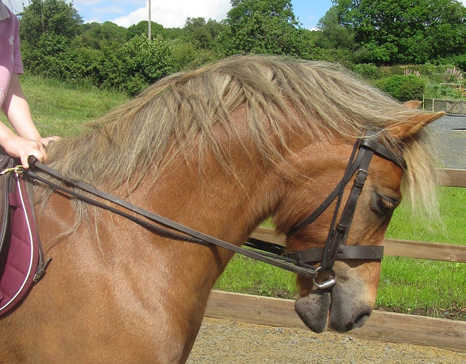 EquiAmi Grass Rein small pony