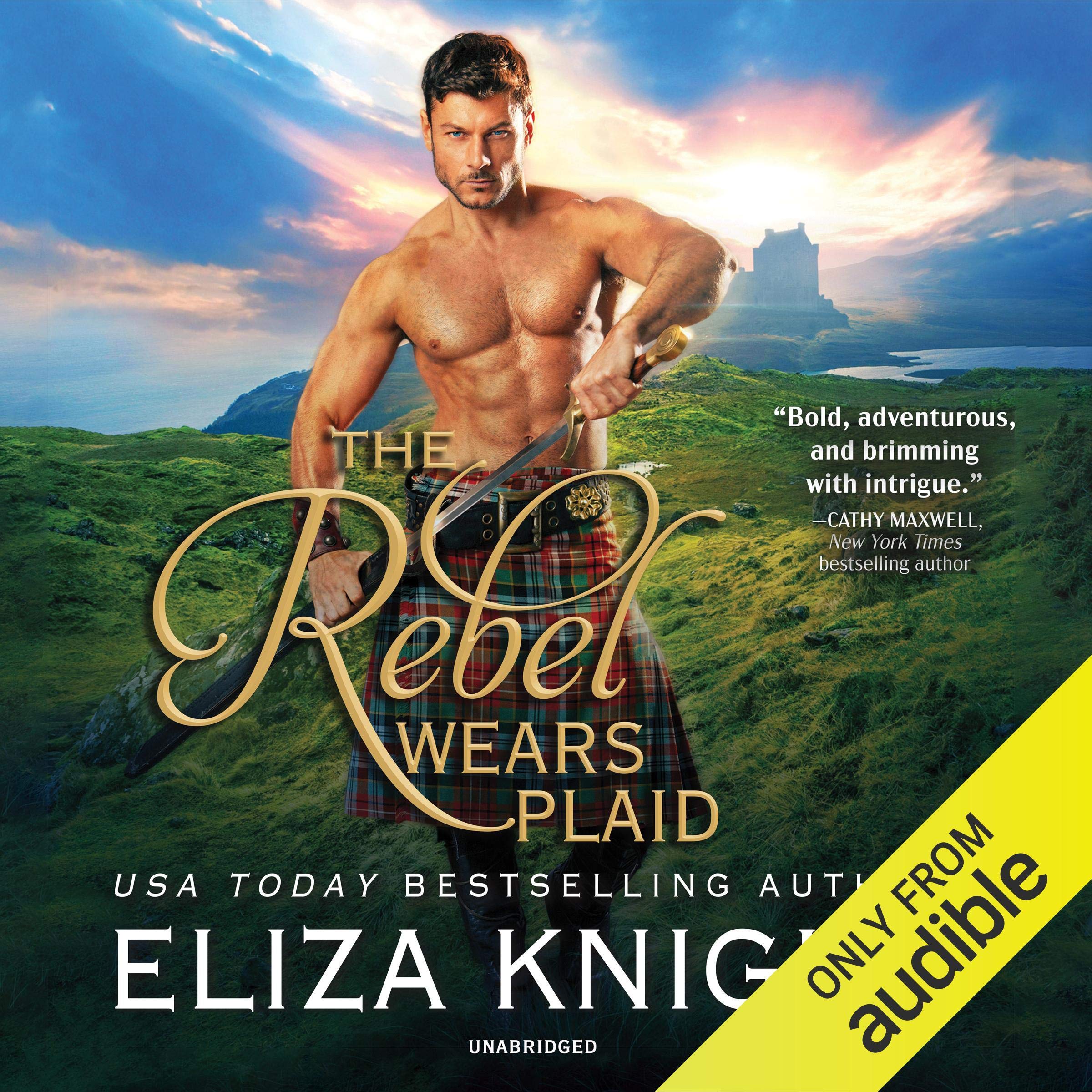Cover art for The Rebel Wears Plaid