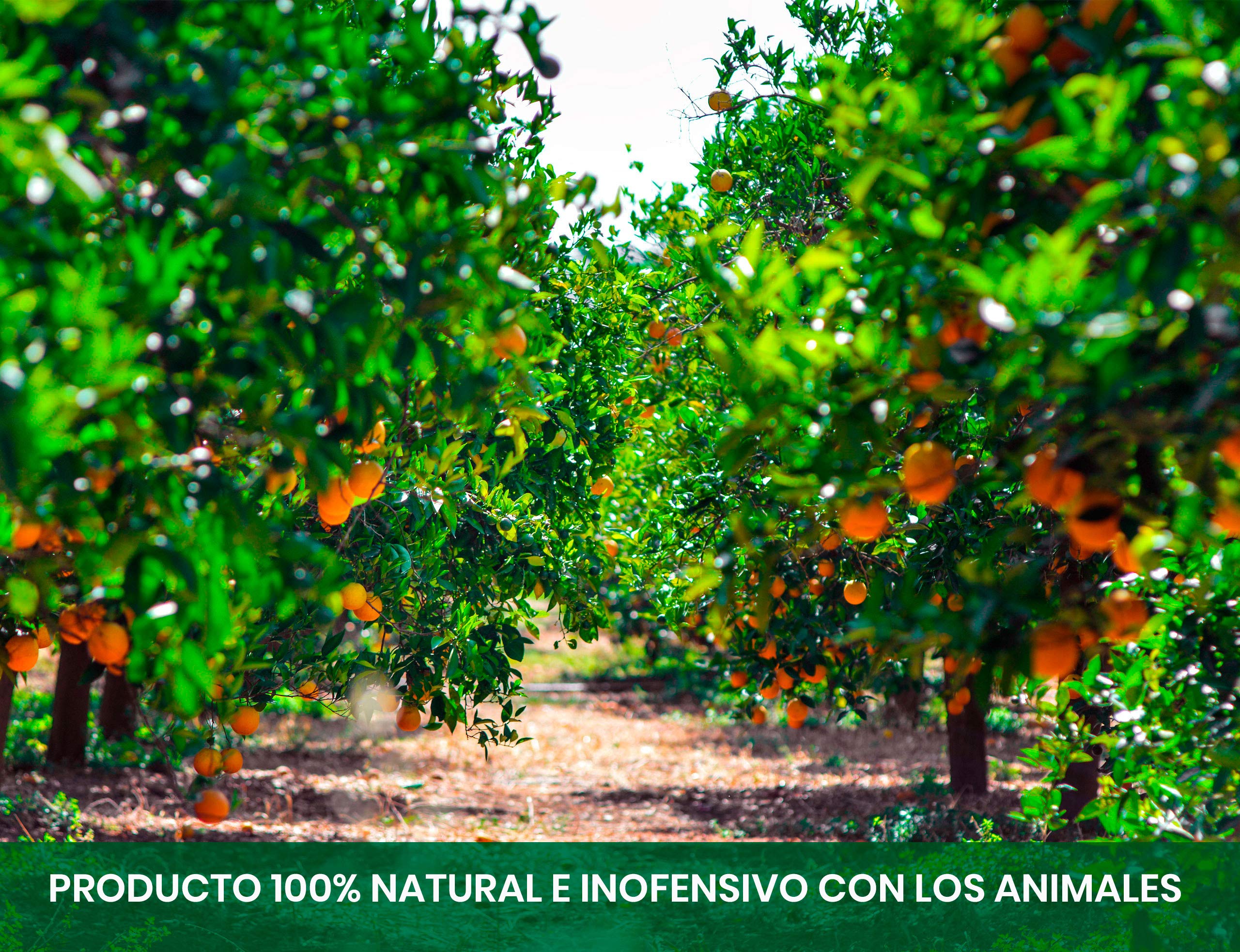 CULTIVERS Abono Cítricos Ecológico 5 kg. Fertilizante Origen 100% Orgánico y Natural Microgránulado. Mayor Rendimiento