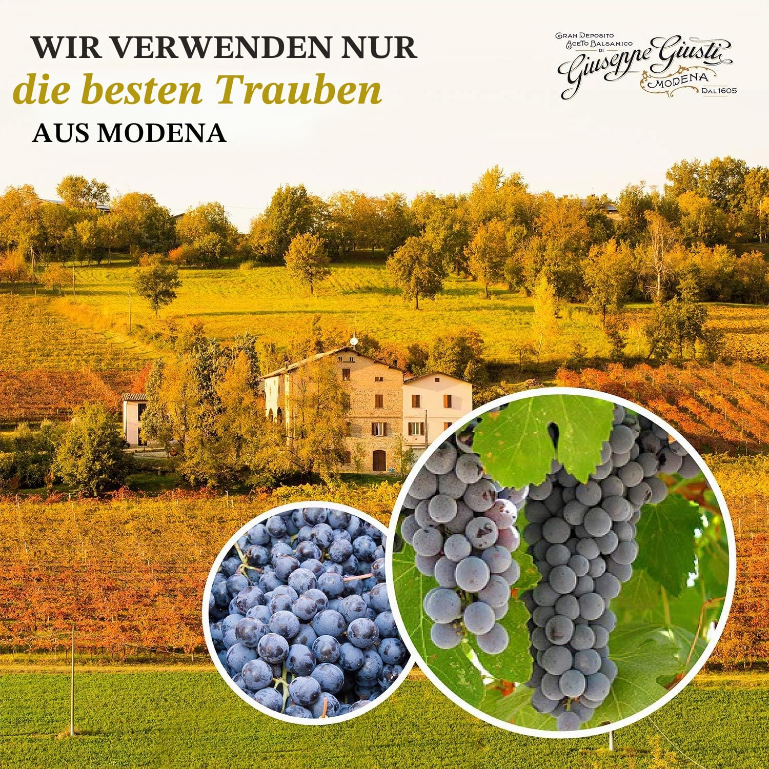 Giusti - Aceto Balsamico di Modena IGP – 5 Goldmedaillen Banda Rossa
