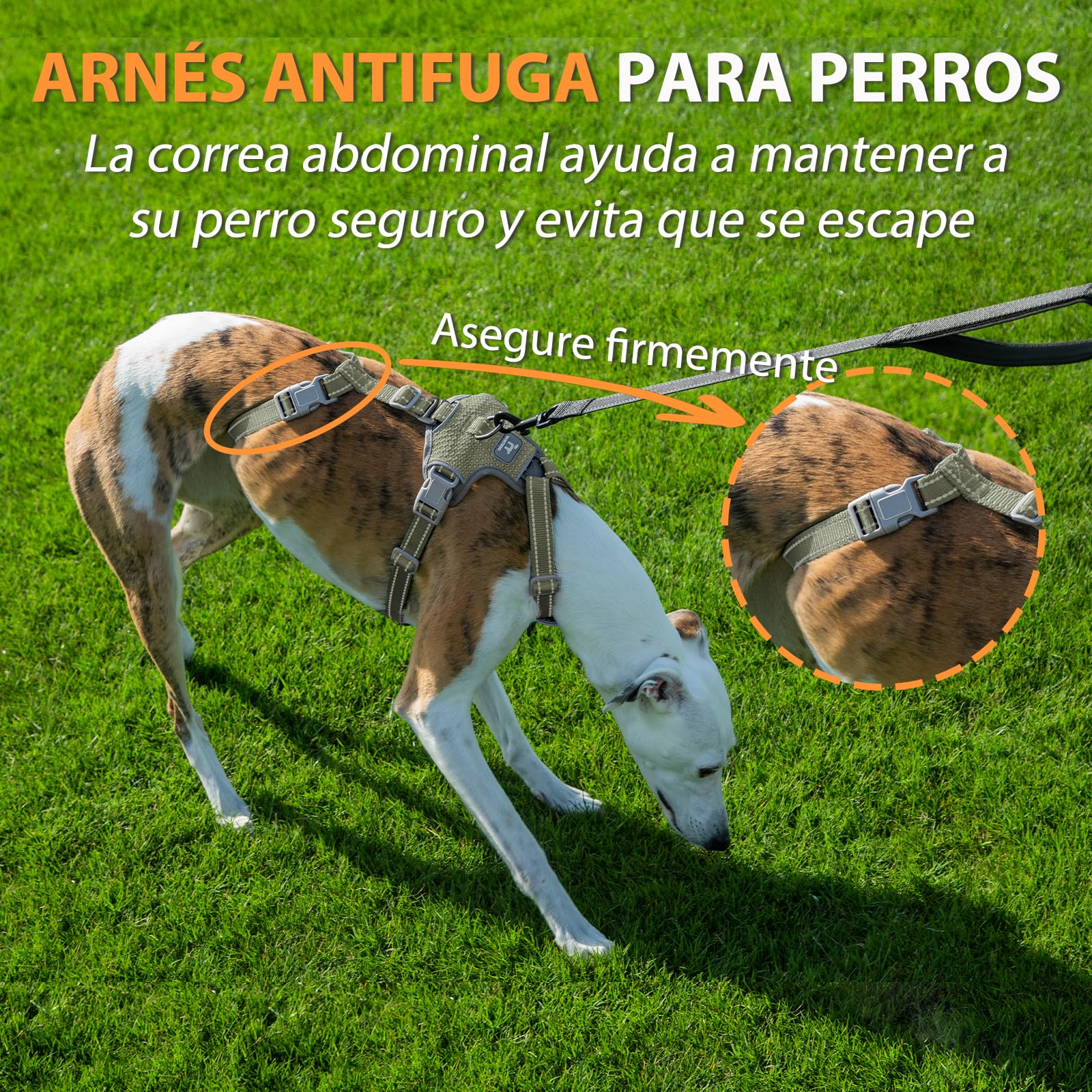 Huntboo Arnes Antiescape Perro Pequeño Mediano Grande, Arnés Antitirones para Perros, Reflectante, Duradero, Chaleco Ajustable y Transpirable para Paseos y Entrenamientos (Verde Militar,M)