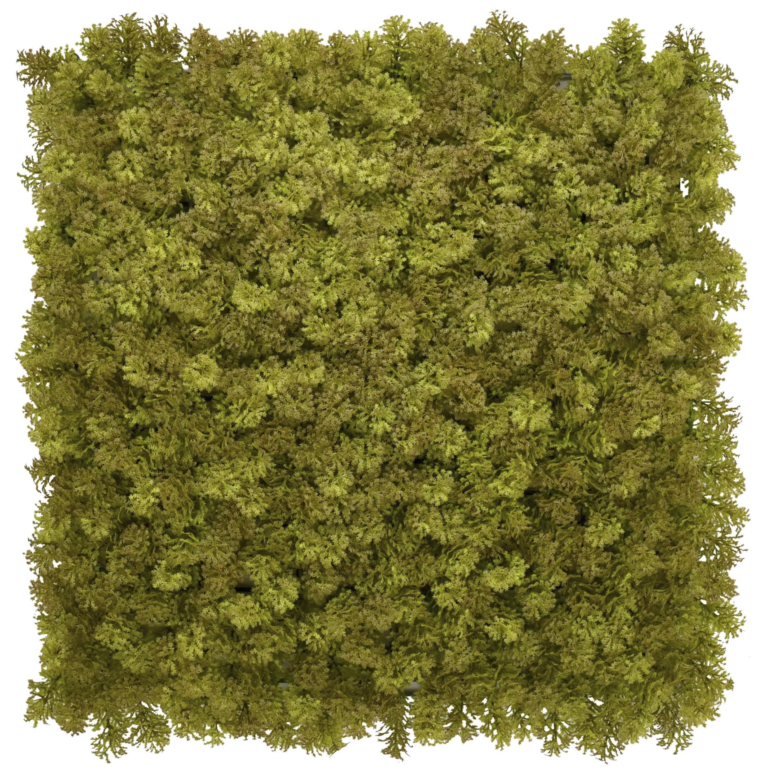 eXtreme Artificial Hedge Panels 50cm x 50cm - UV Resistant Faux Green Artificial Plant Wall Panels, Dense Privacy Garden Screening for Fence, Balcony, Indoor & Outdoor Décor, Moss