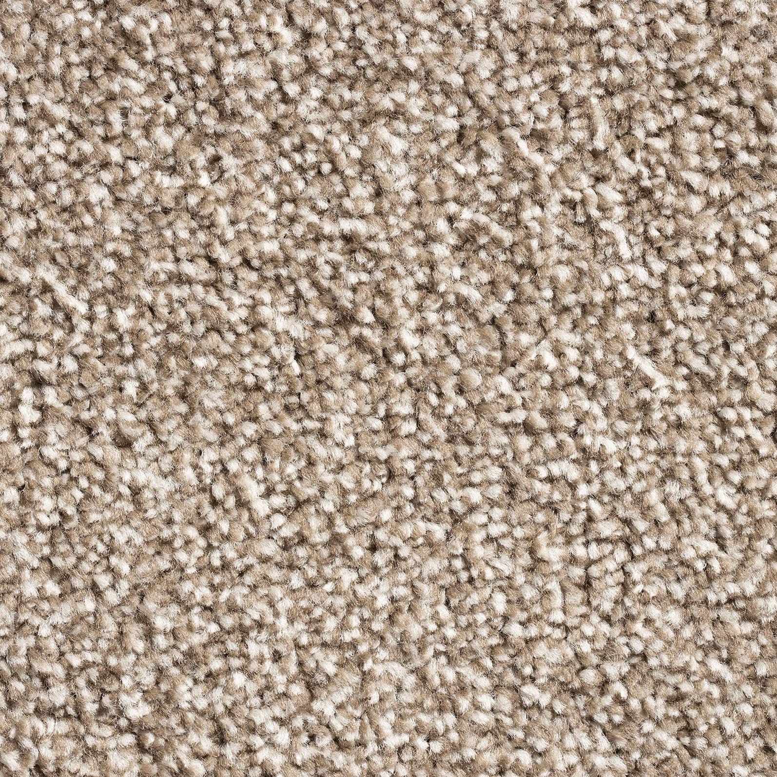 Tuda Carpets | Barrati 15mm Saxony Pile Carpet with Hessian Action Back | Flint Grey (82) - Sample — view 16