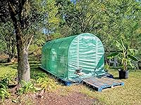 Review Image by Jen Blodgett Jen Blodgett