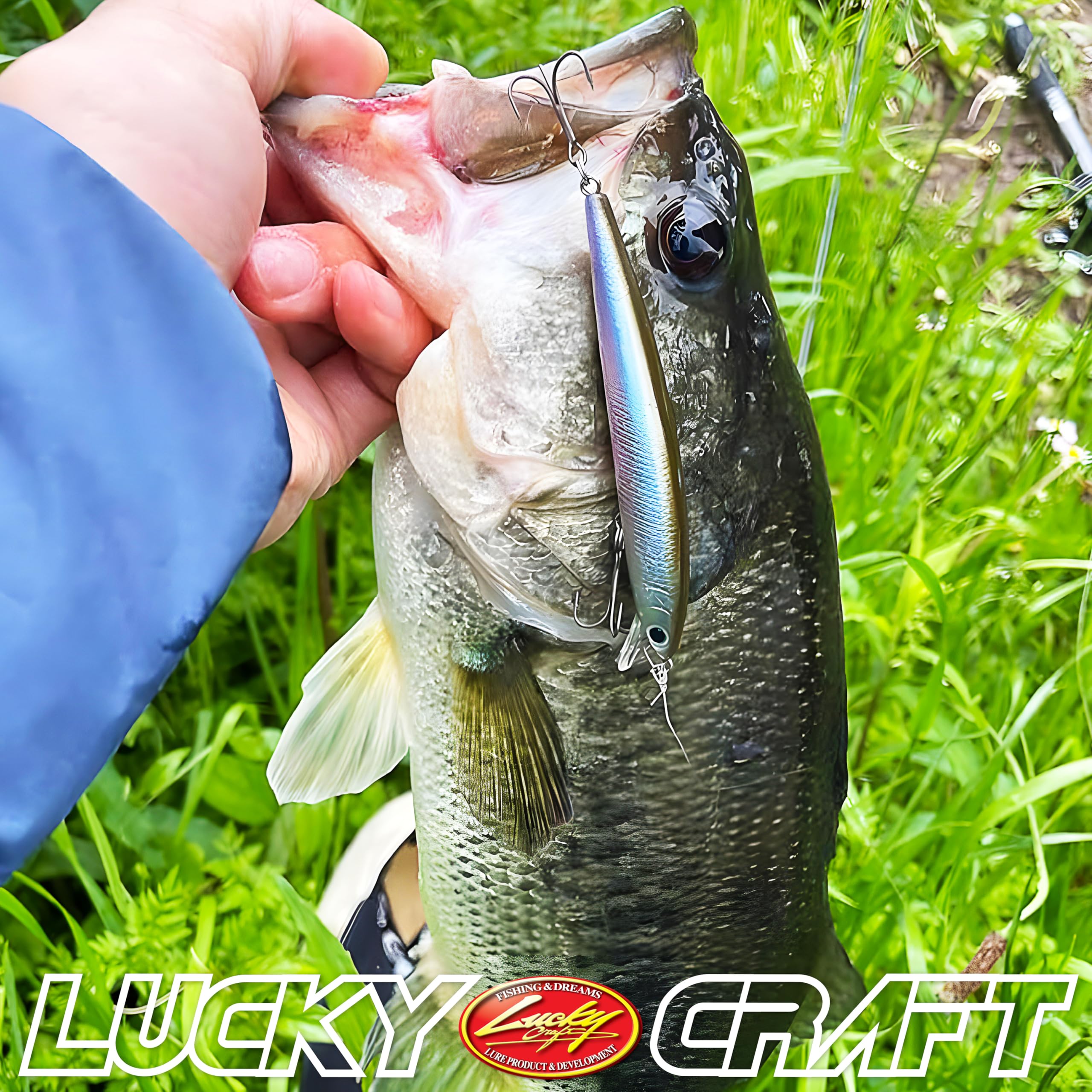 Amazon.co.jp: ラッキークラフト(LUCKY CRAFT) フラッシュミノー 80SP