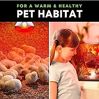 Vista 5 de Bombillas incandescentes de 250 W R40 (paquete de 2) - Lámpara de calor infrarroja para baño para pollos, pollitos, cachorros, reptiles, ganado