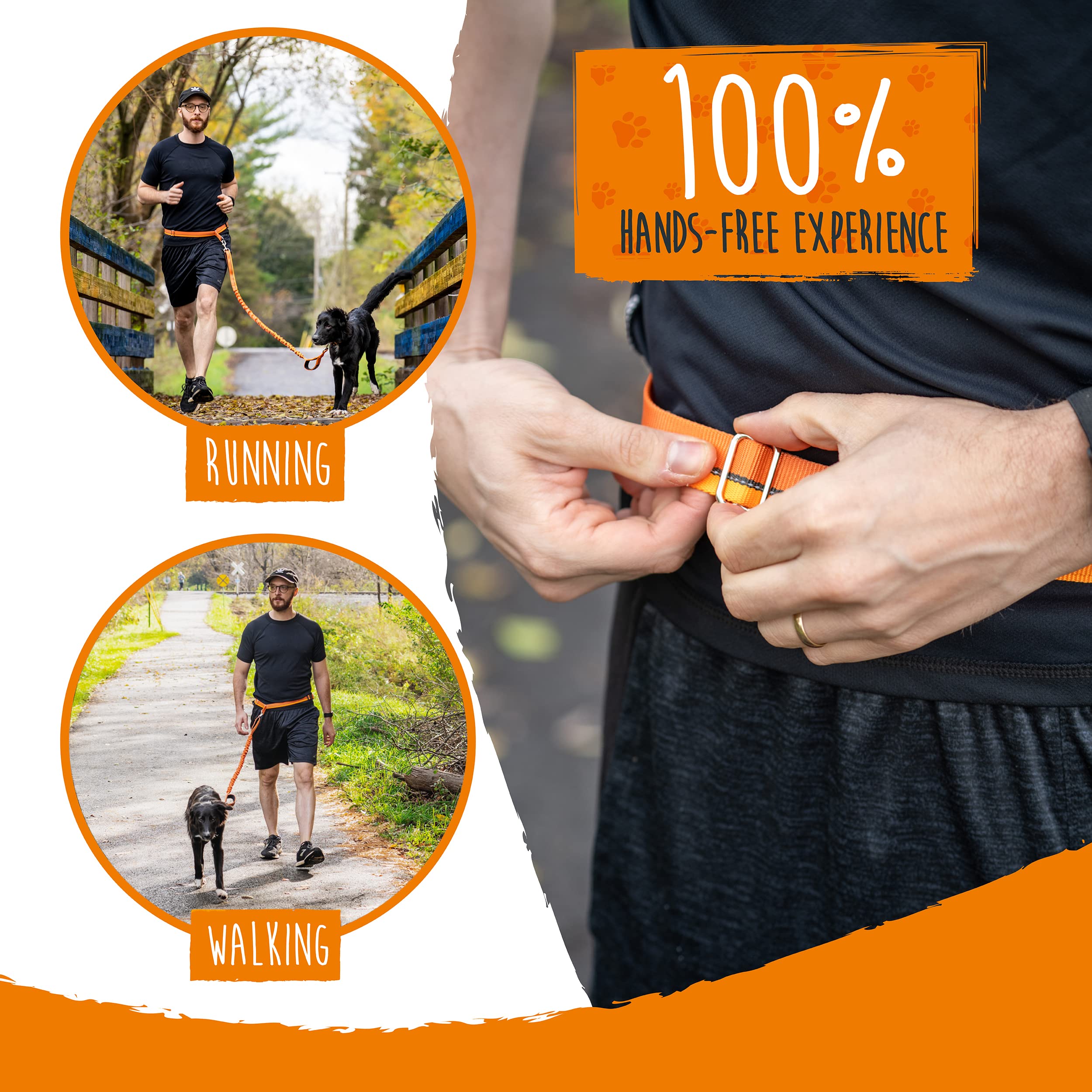Mighty Paw Hands Free Dog Leash | Bungee Waist Leash for Dog Walking. Pet Running Hands Free Tether for Large, Medium & Small Breeds. Pet Waist Belt (36" - 48") Up to 150 lbs - Orange - image 6