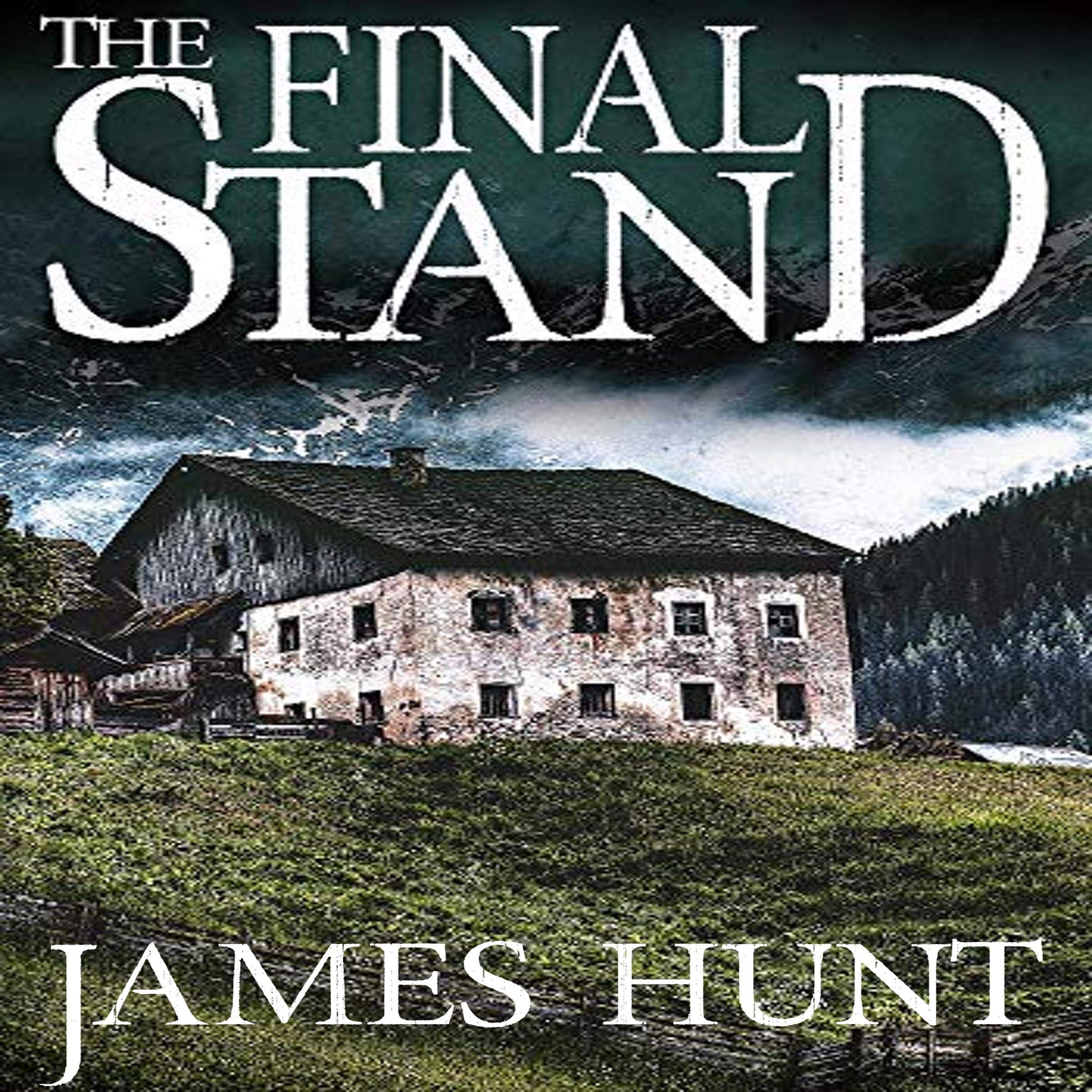 Cover art for The Final Stand: EMP Survival in a Powerless World