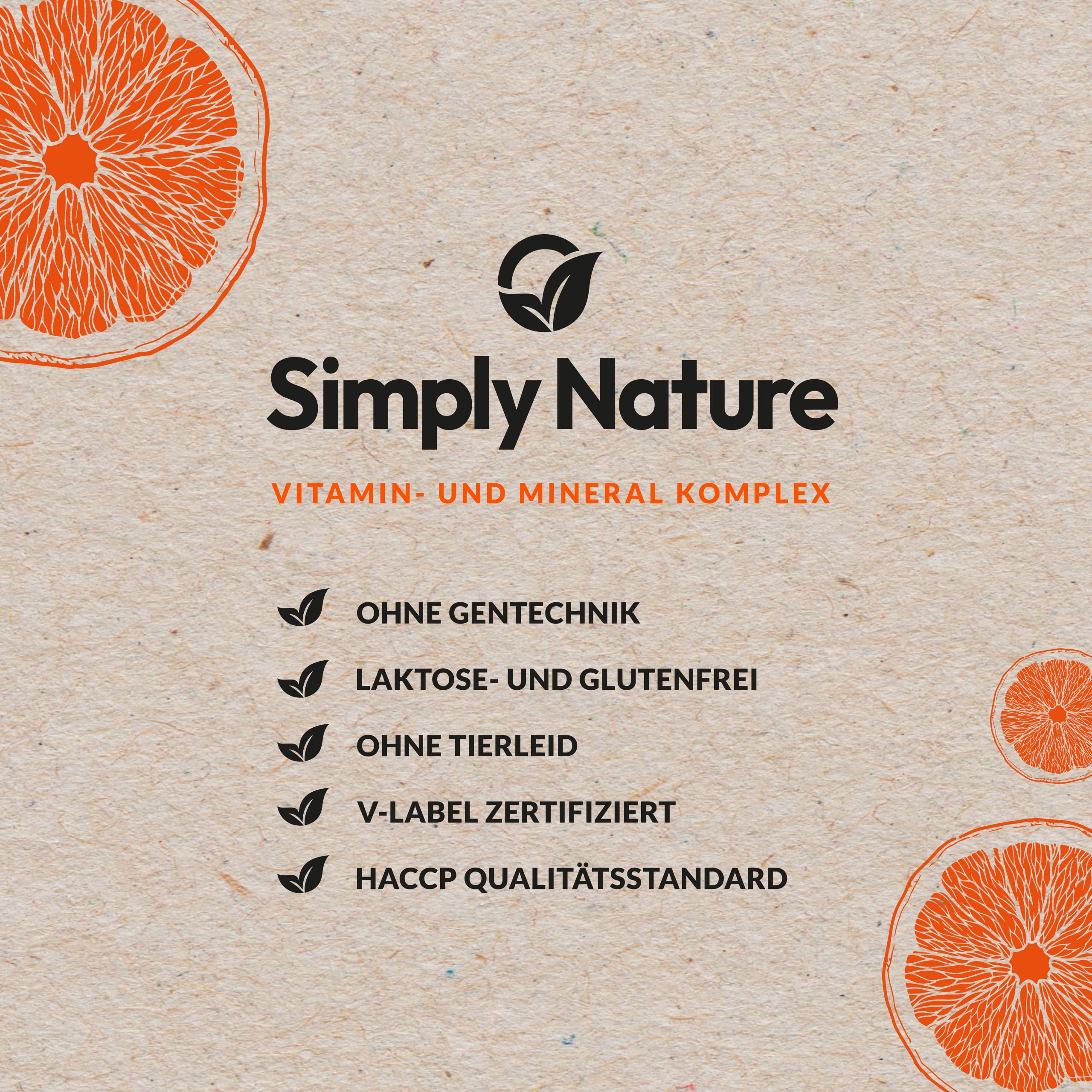 Vegan Every Day - Multivitamin Mineralstoff Komplex- Hochdosiert - 120 Kapseln - Deutsche Qualität - Laborgeprüft - B12+B2+B6+B9 Folsäure+D3+K2+E+EISEN+JOD+KALIUM+NATRIUM+SELEN+ZINK (Packung mit 2)