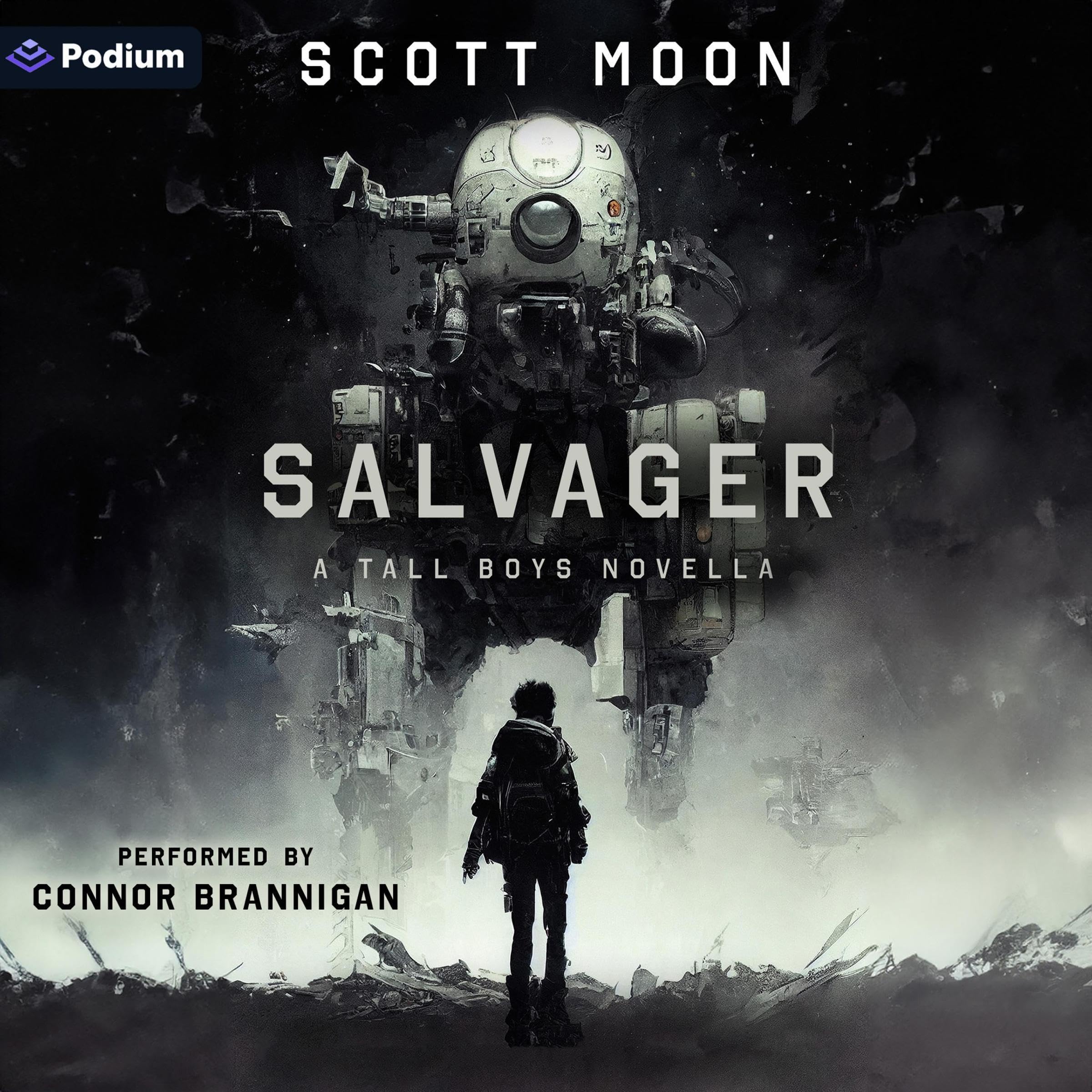 Cover art for Salvager