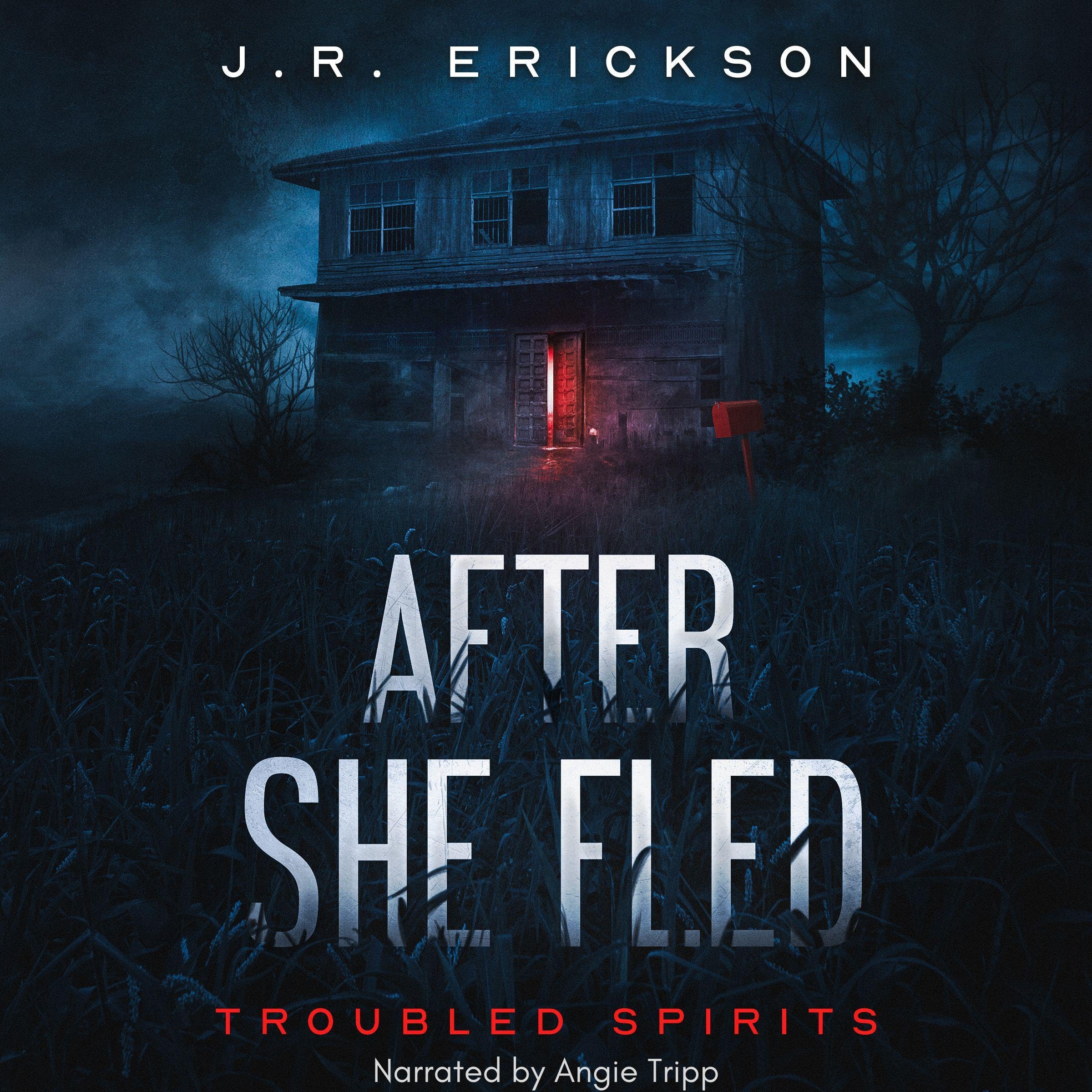 Cover art for After She Fled