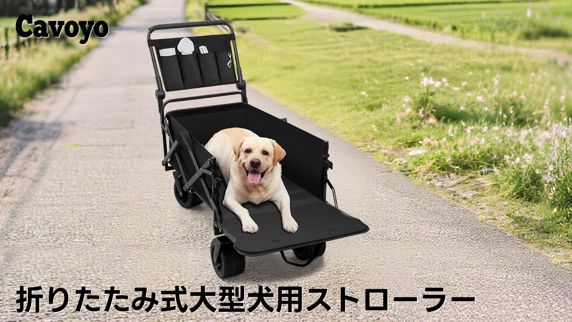 Amazon.co.jp: Cavoyo ペットカート 犬 カート バギー 4輪 大容量 耐