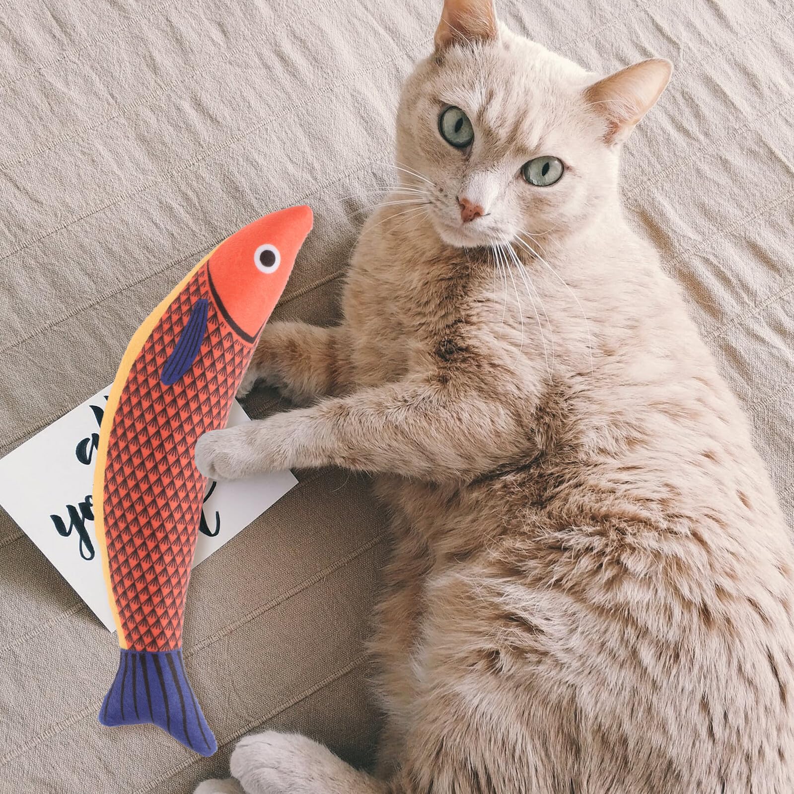 POPETPOP Jouet Chat Peluche Poisson Interactif Herbe à Chat Intégrée