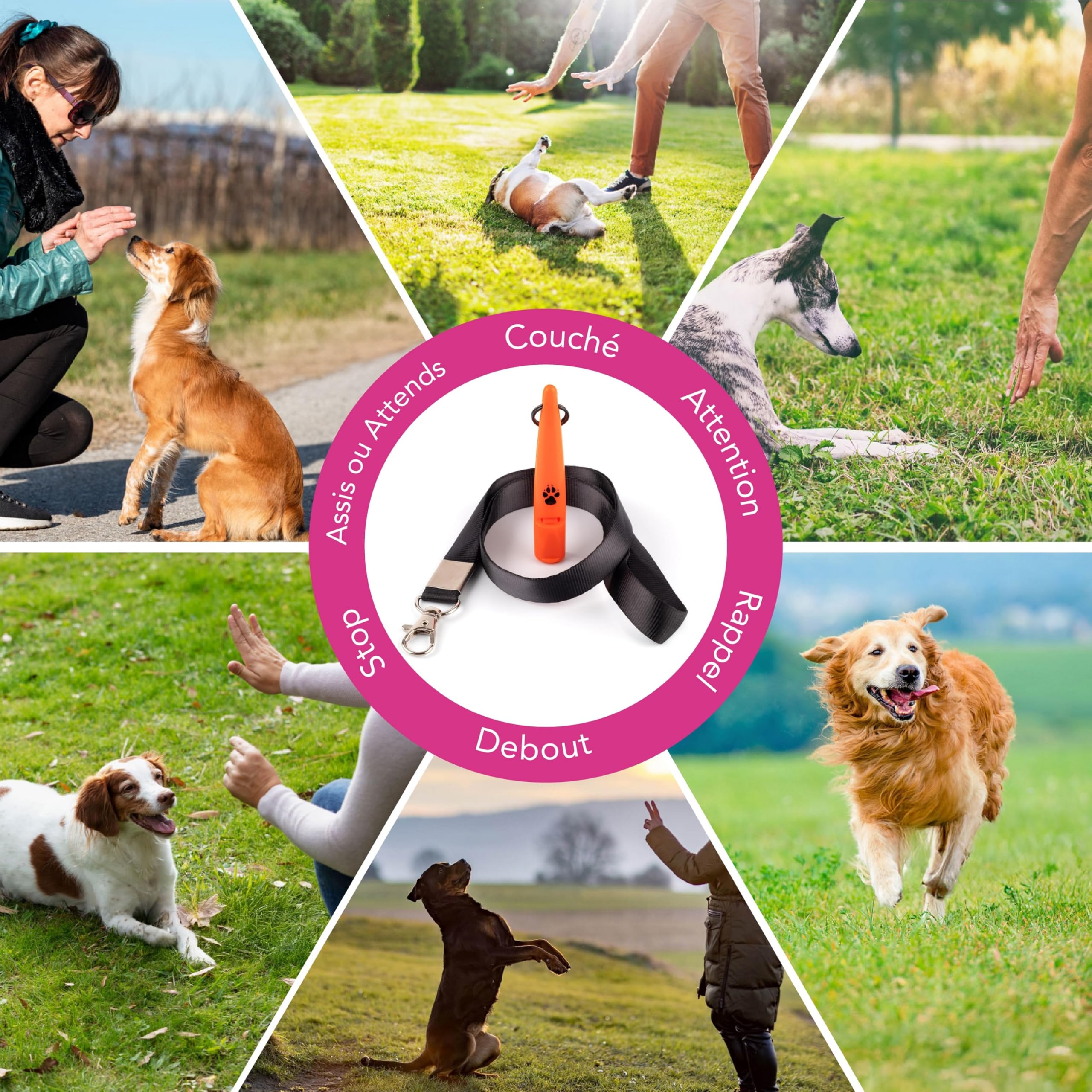 Sifflet d'entraînement pour chiens de chasse TDL avec lanière - Sifflet pour chien avec un ton fort et solide et un son à longue portée - Sifflet de rappel pour chien haute fréquence idéal pour la