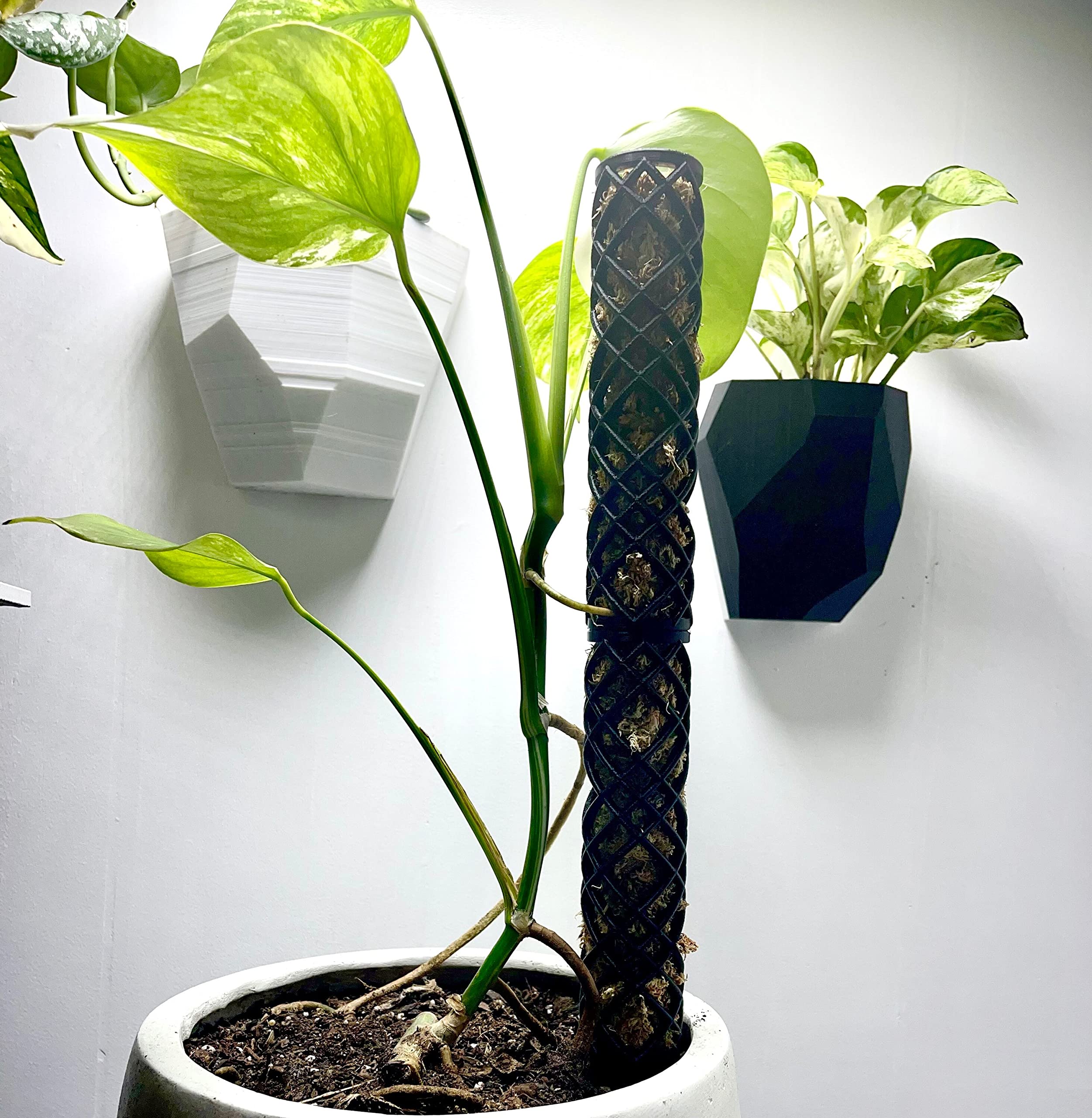 plant growing light bulbs Vita Grow Light Bulb White Wide