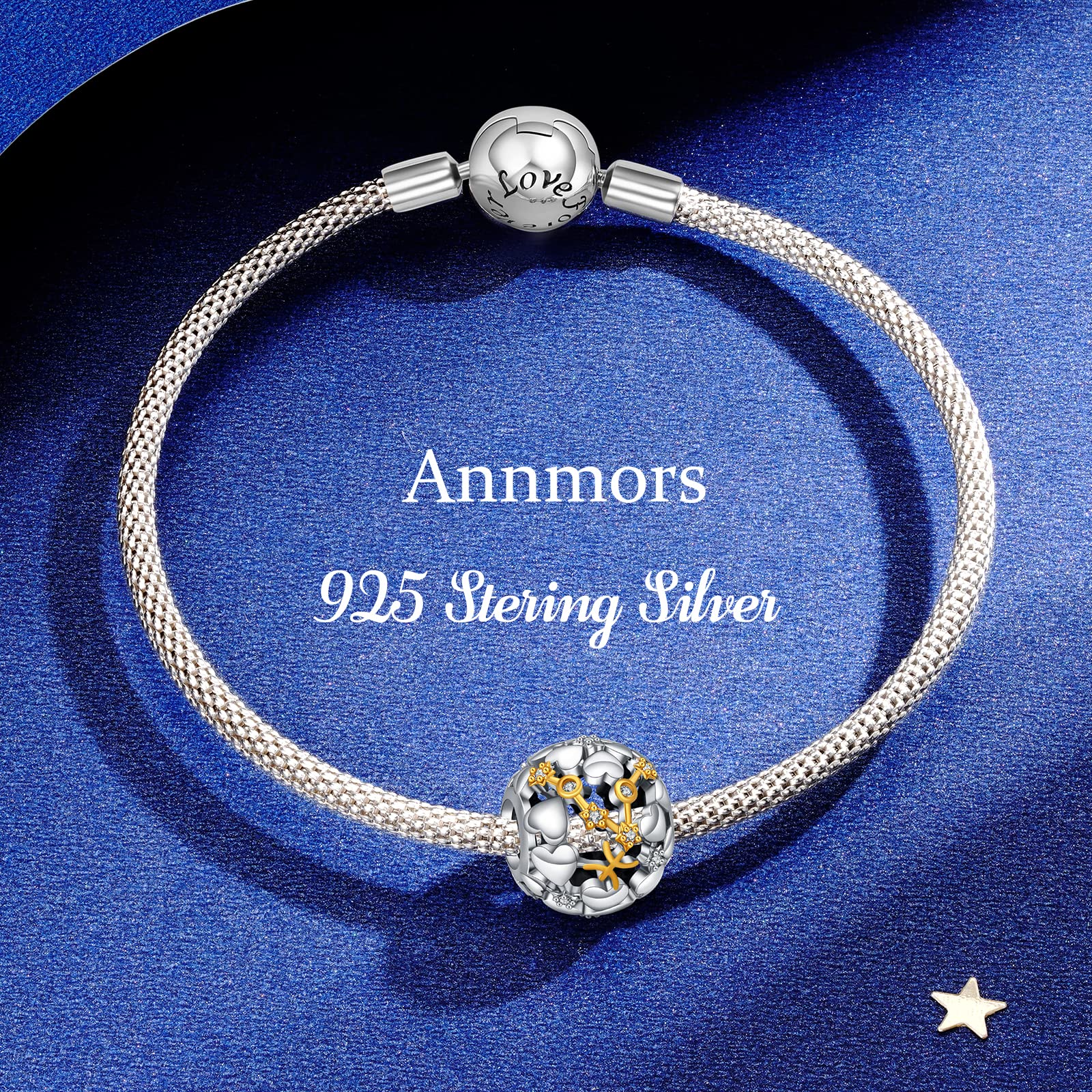Annmors Charm Zodiaco Cumpleaños Abalorios Plata de Ley 925 Compatible con Pulsera Mujer