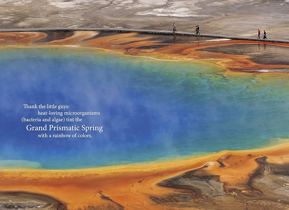 Compass American Guides: North Carolina%ｶﾝﾏ% 3rd Edition (Full-color Travel Guide%ｶﾝﾏ% 3) Compass American Guides: Yellowstone and Grand Teton