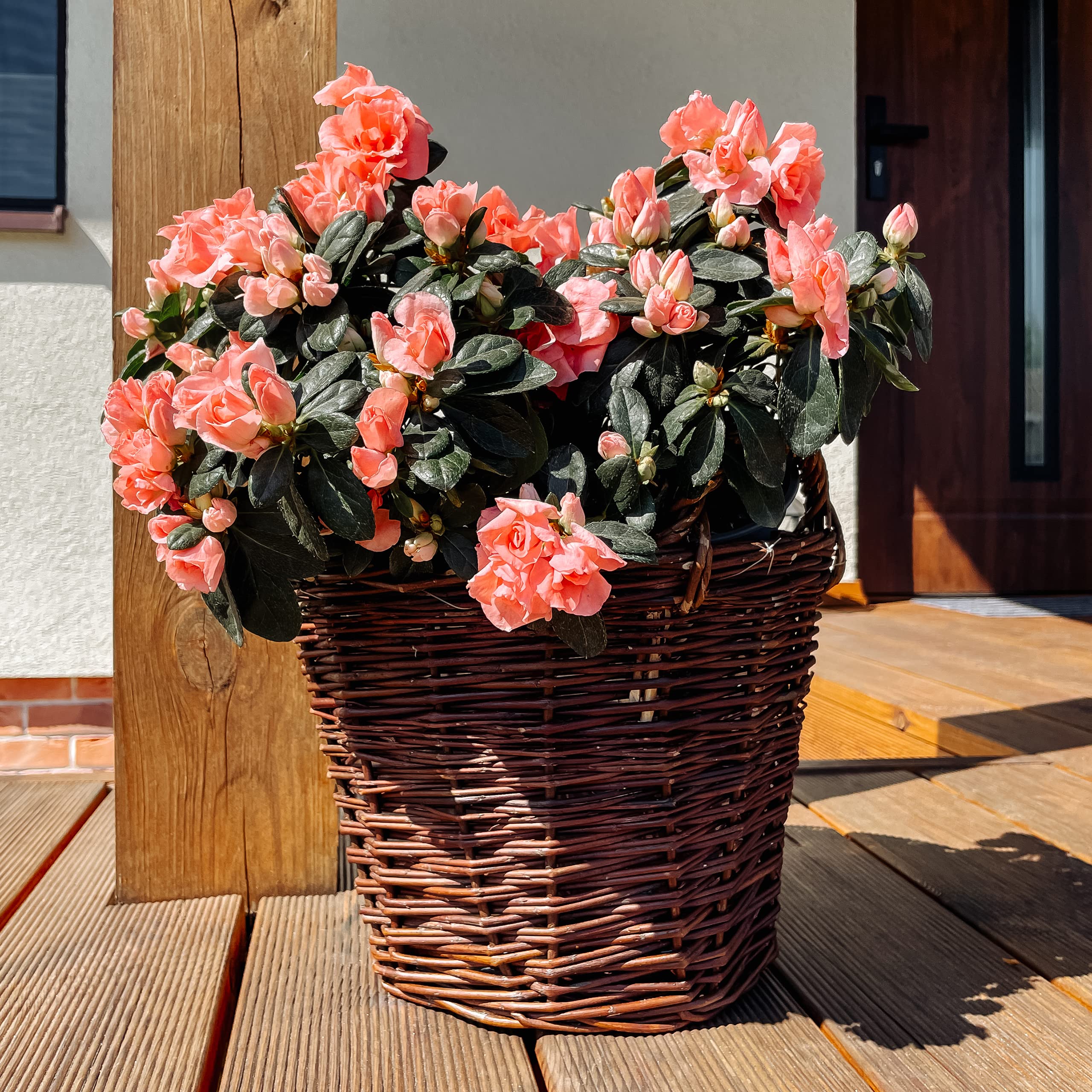 Creative Home Pot de Fleurs en Osier Foncé | Hauteur 30 cm