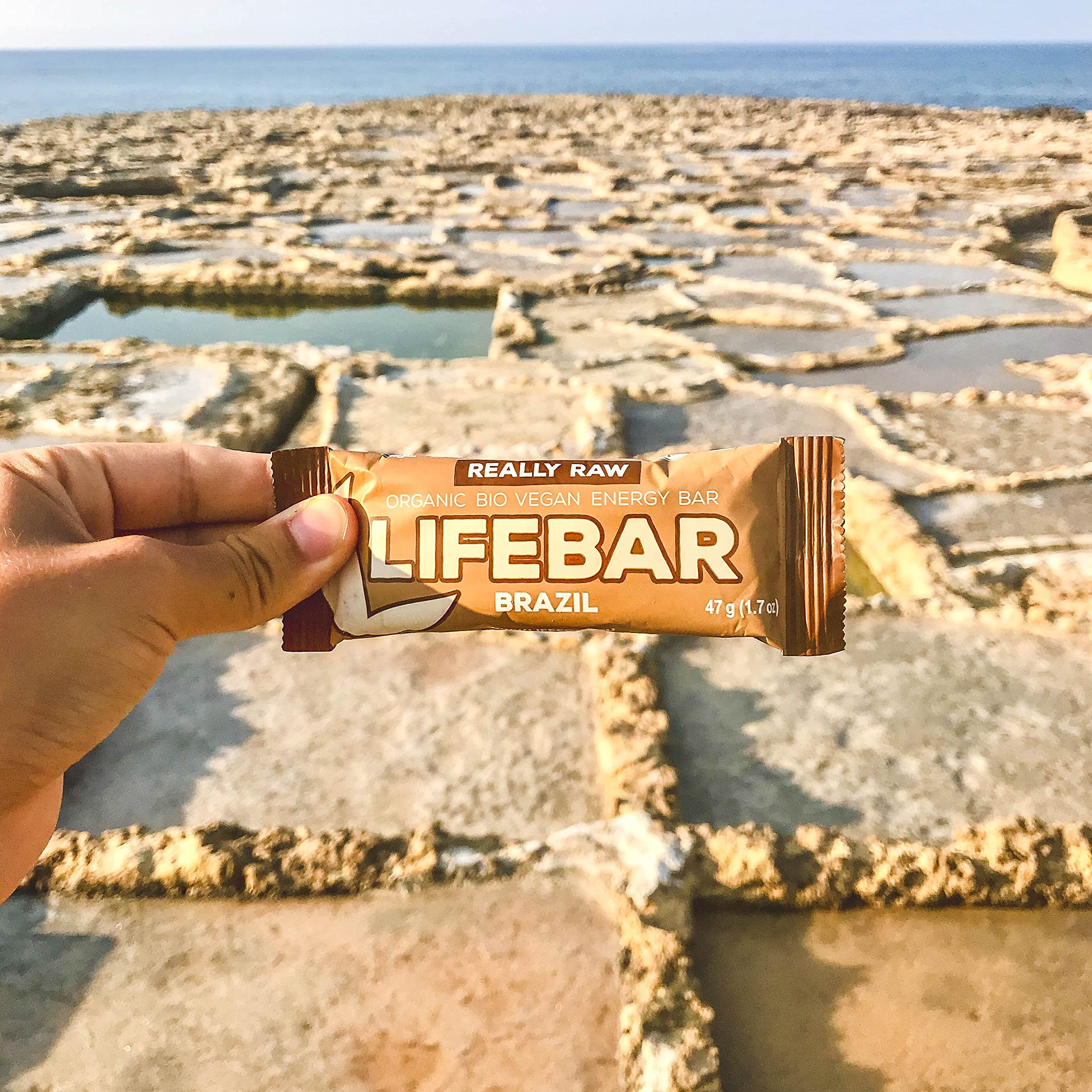 lifefood Lifebar Brazil Roh Bio, 15er Pack (15 x 47 g)