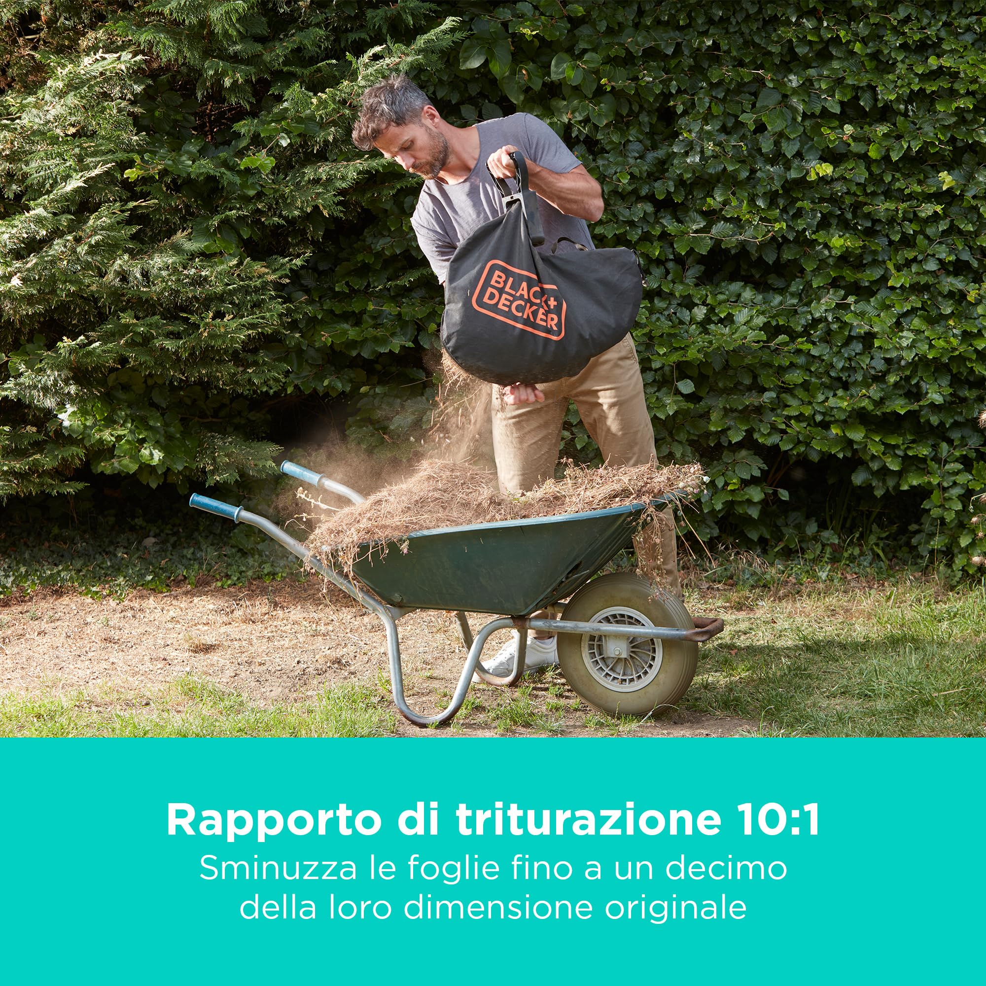 BLACK+DECKER Cordless 36v Soffiatore, aspiratore e trituratore per foglie, con sacco di raccolta da 45 litri e batteria al litio da 2,5 Ah, BCBLV3625L1-QW