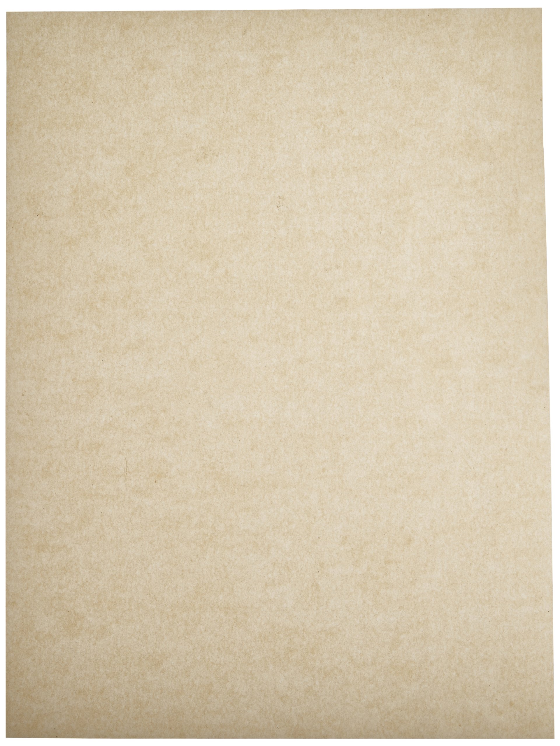 Bagcraft Papercon 030008 EcoCraft Bake 'N' Reuse Half Pan Liner with Chromium-Free Release, 16-3/8